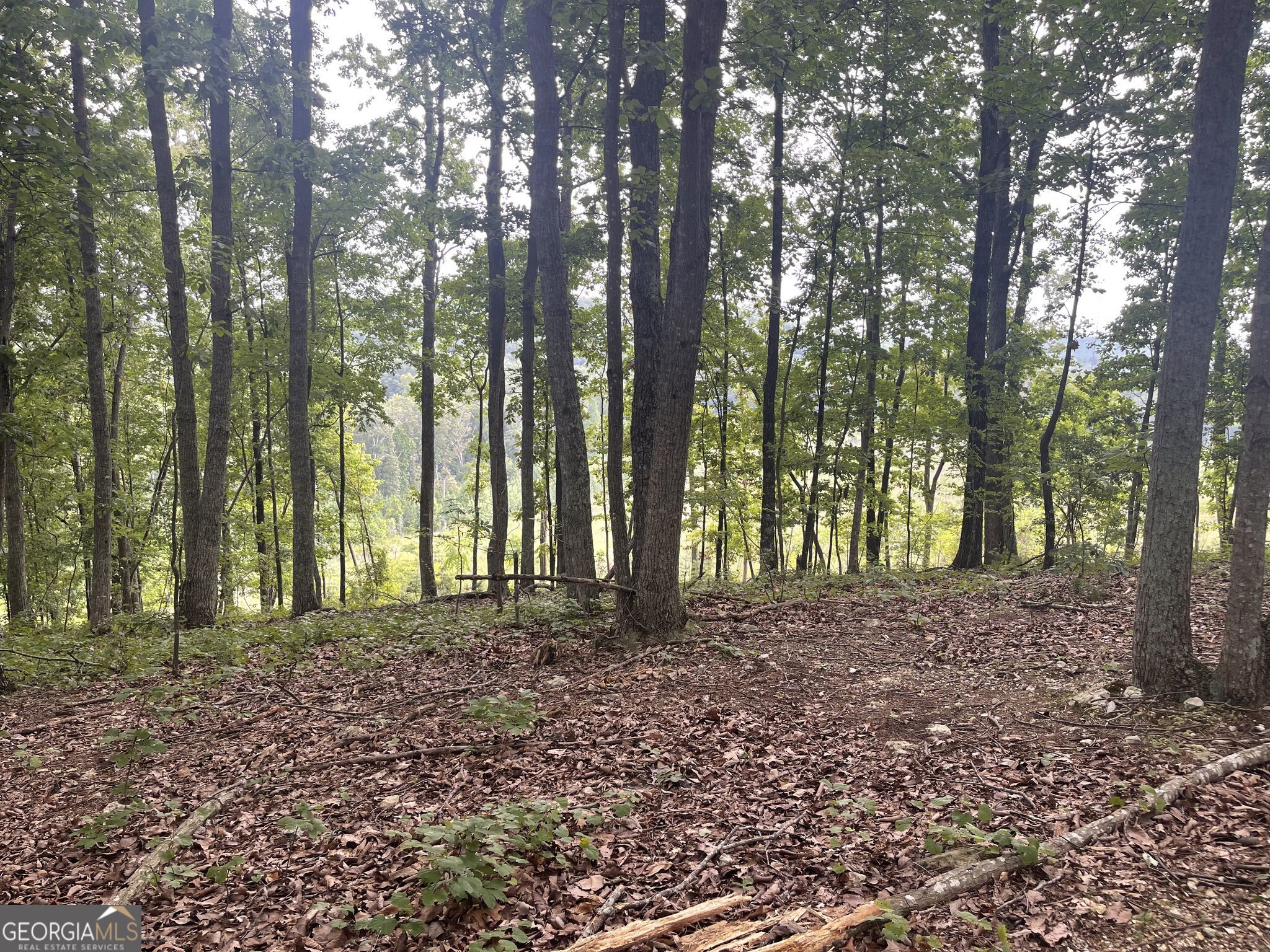 0 White Oak Road Property Photo 3