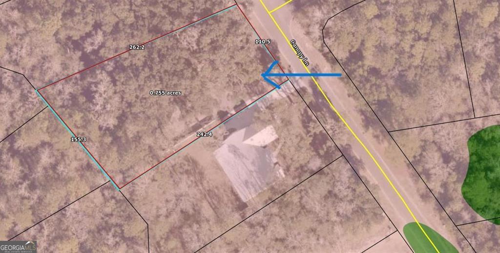 Lot 139 Canopy Lane Property Photo 2