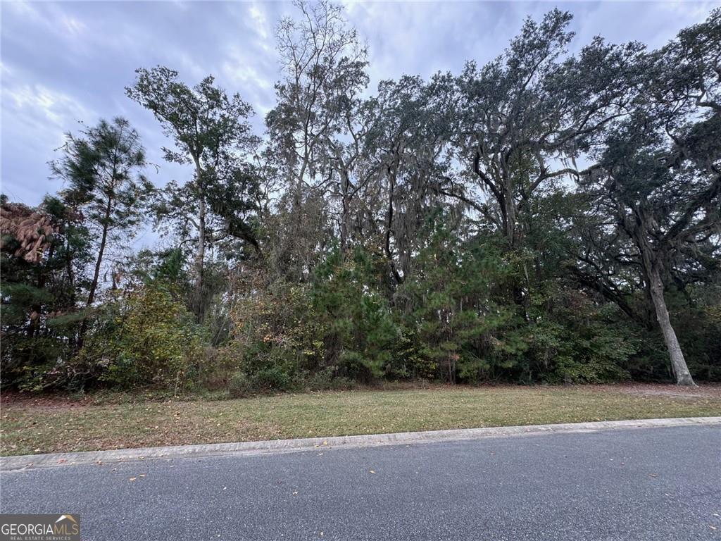 Lot 139 Canopy Lane Property Photo 3