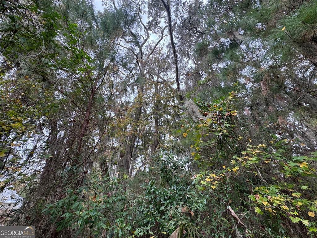 Lot 139 Canopy Lane Property Photo 4
