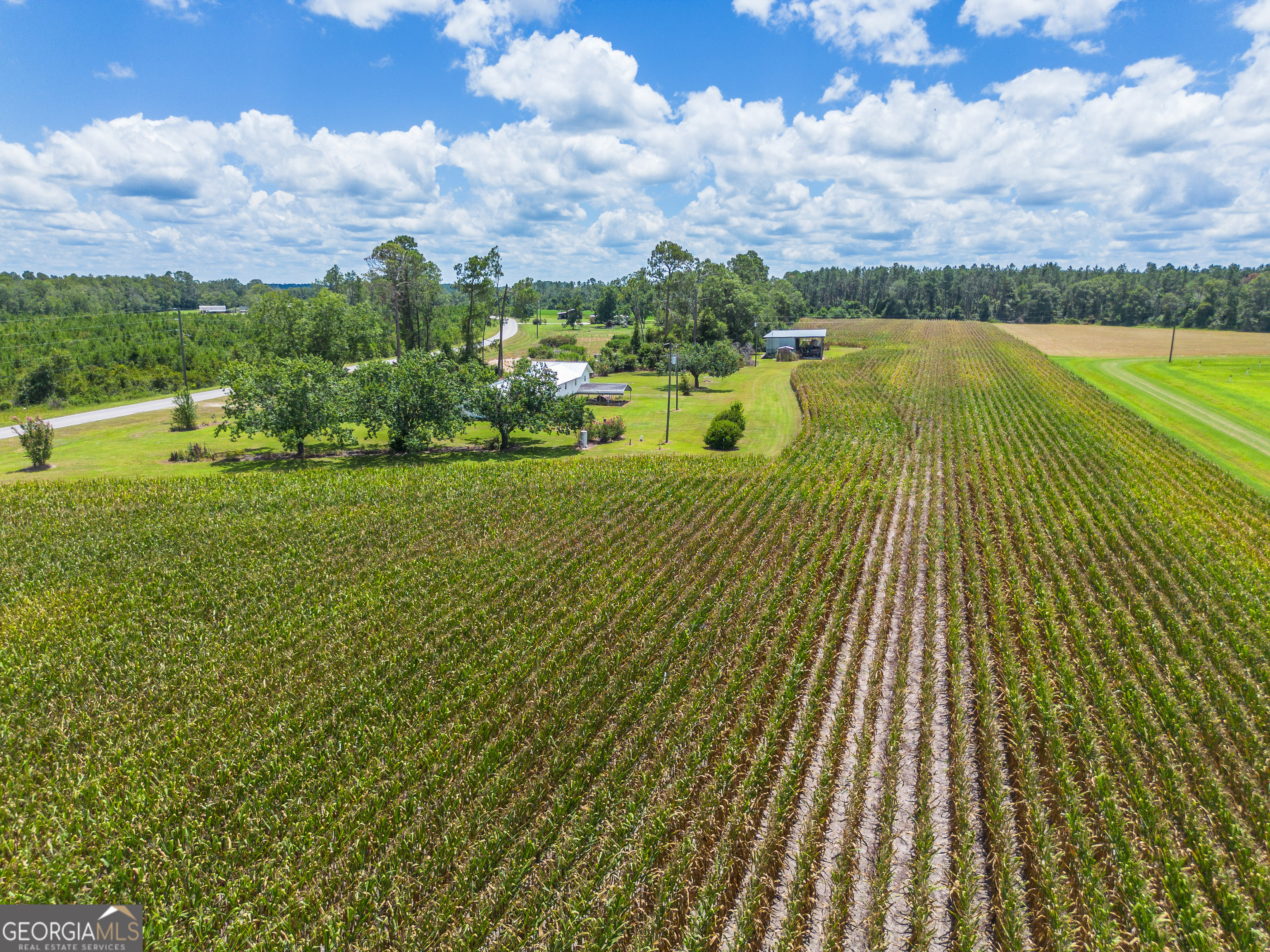 598 Teakwood Road Property Photo 1
