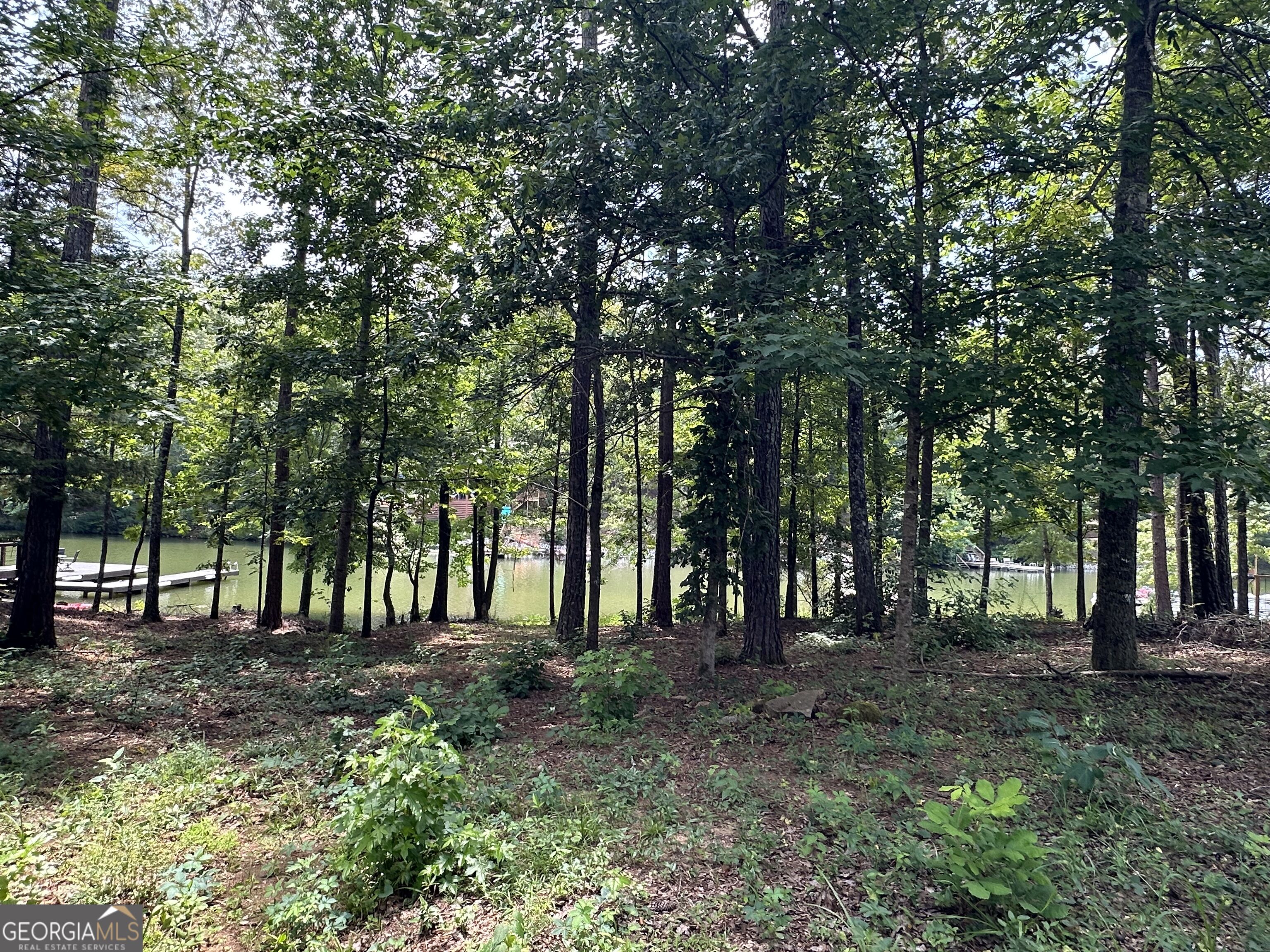 199 Lakewood Drive Property Photo 15