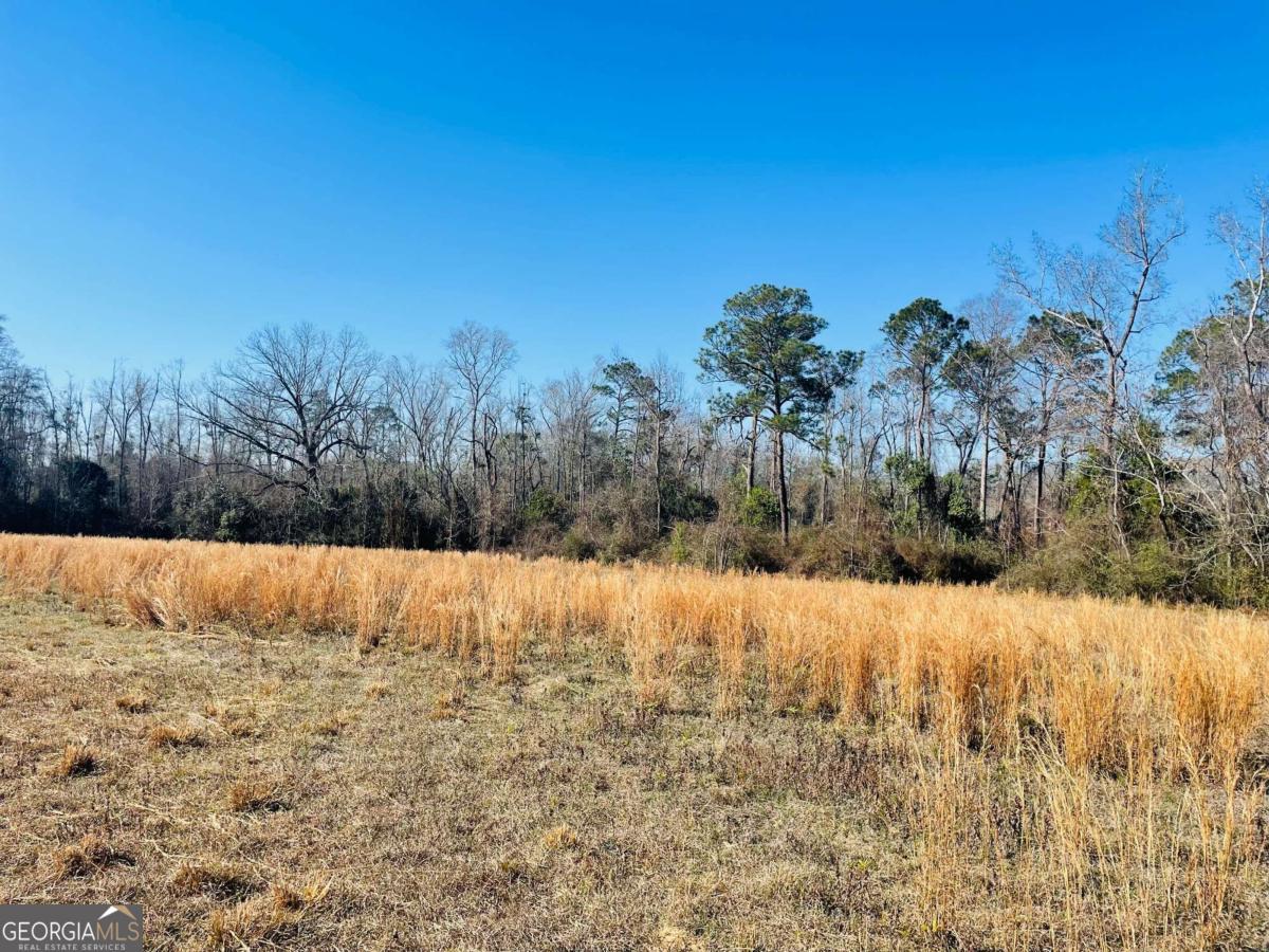 16.59ac Rosemont Road Property Photo 2