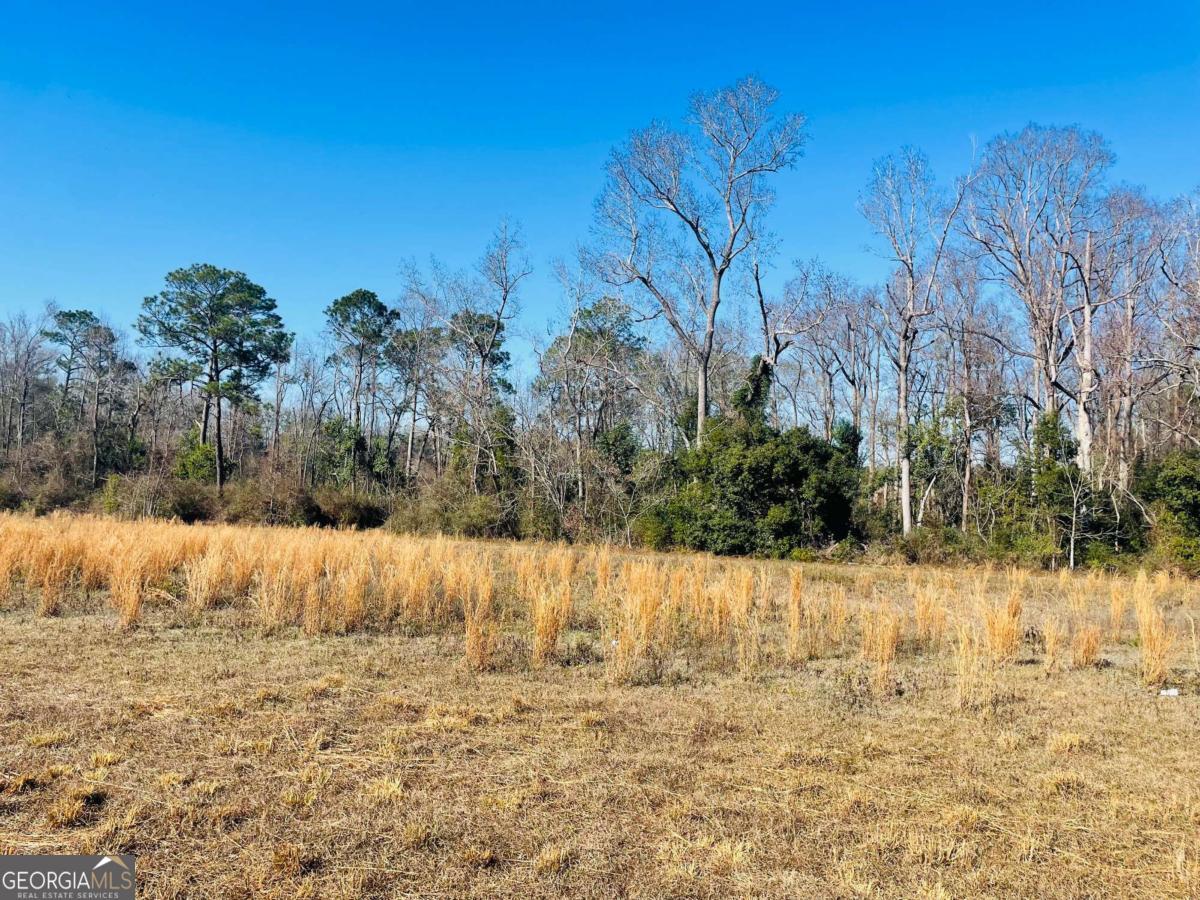 16.59ac Rosemont Road Property Photo 3