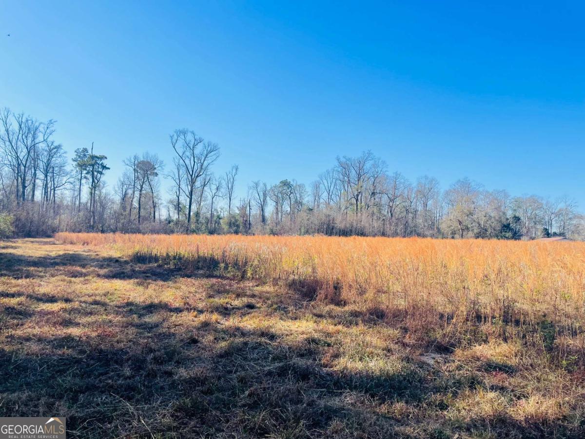 16.59ac Rosemont Road Property Photo 5