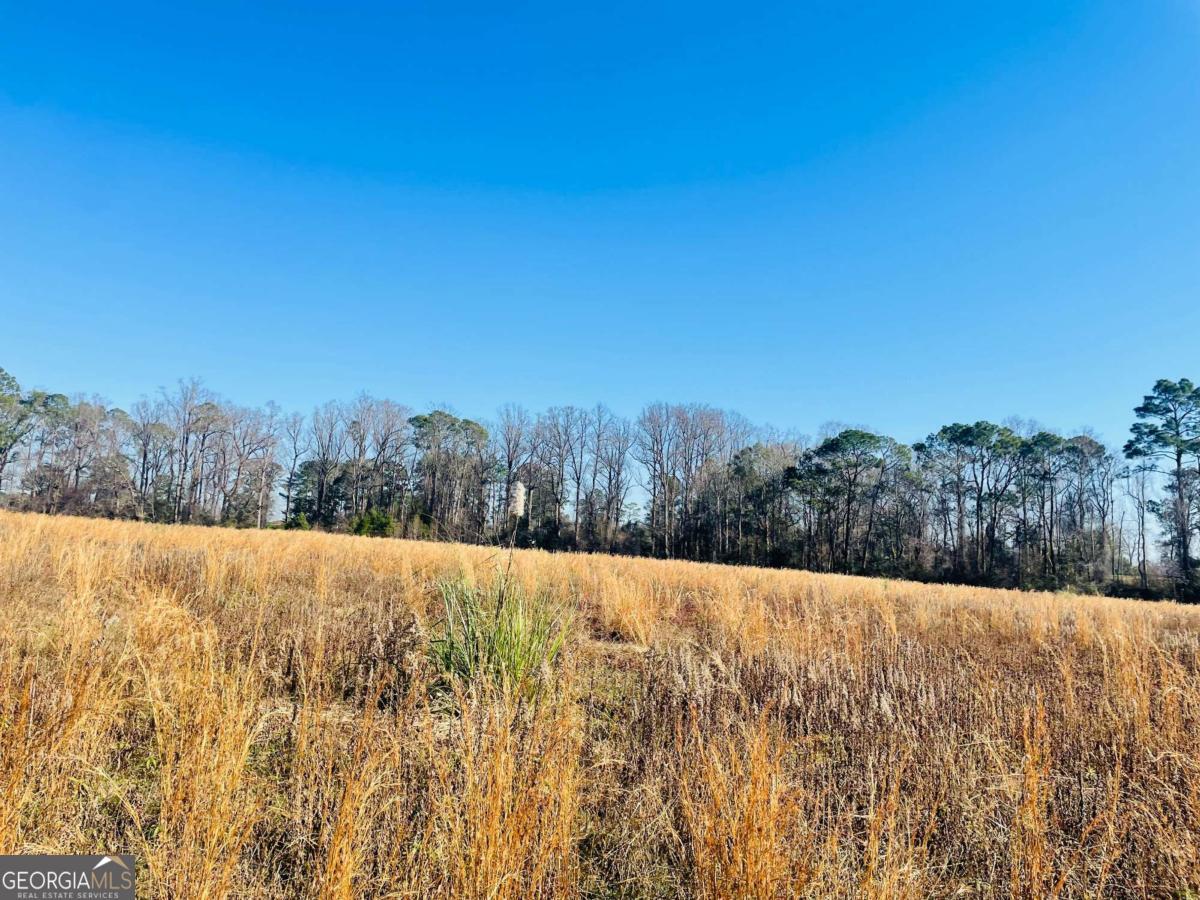 16.59ac Rosemont Road Property Photo 6