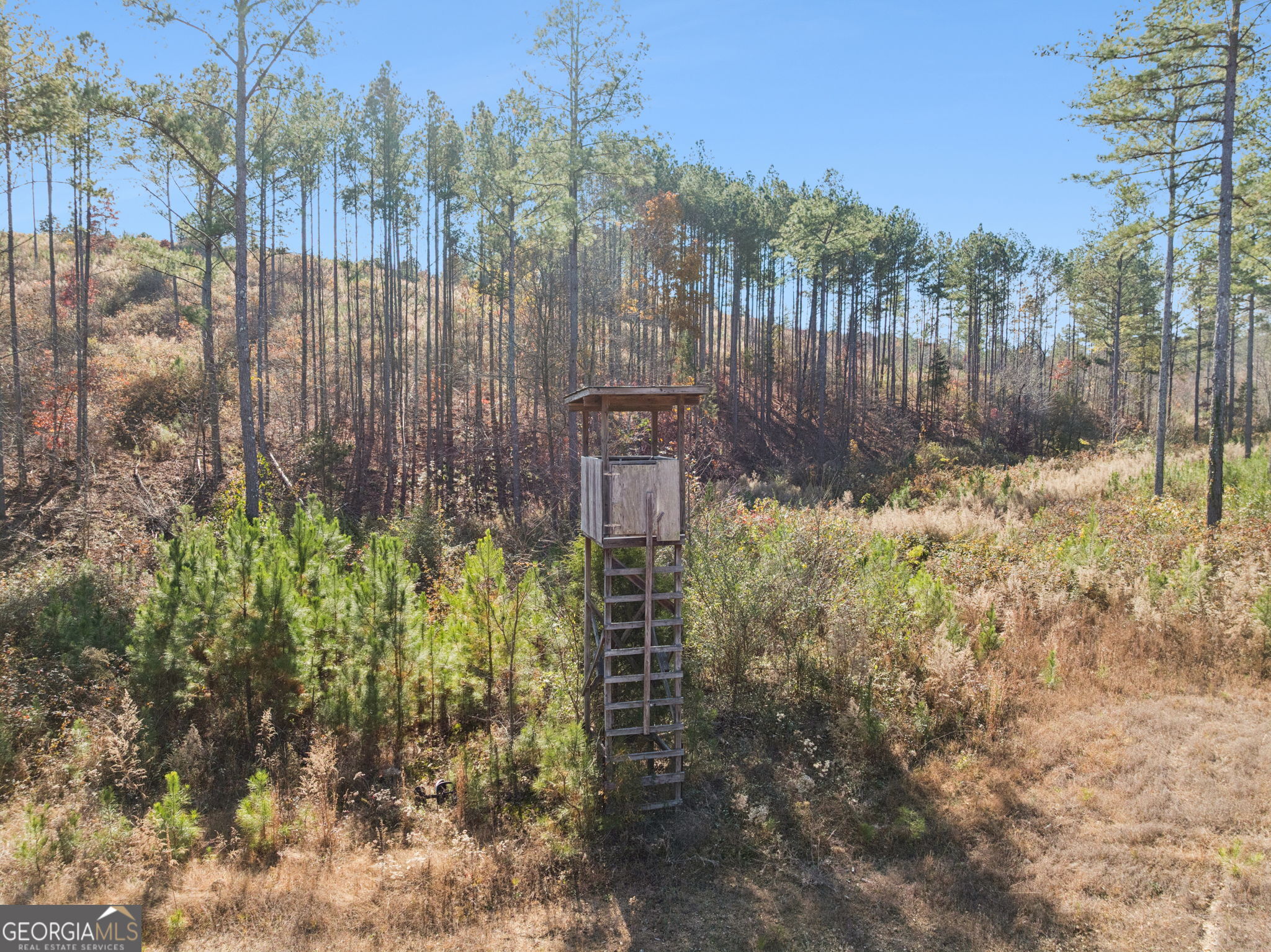 0 Sand Pit Road Property Photo 4