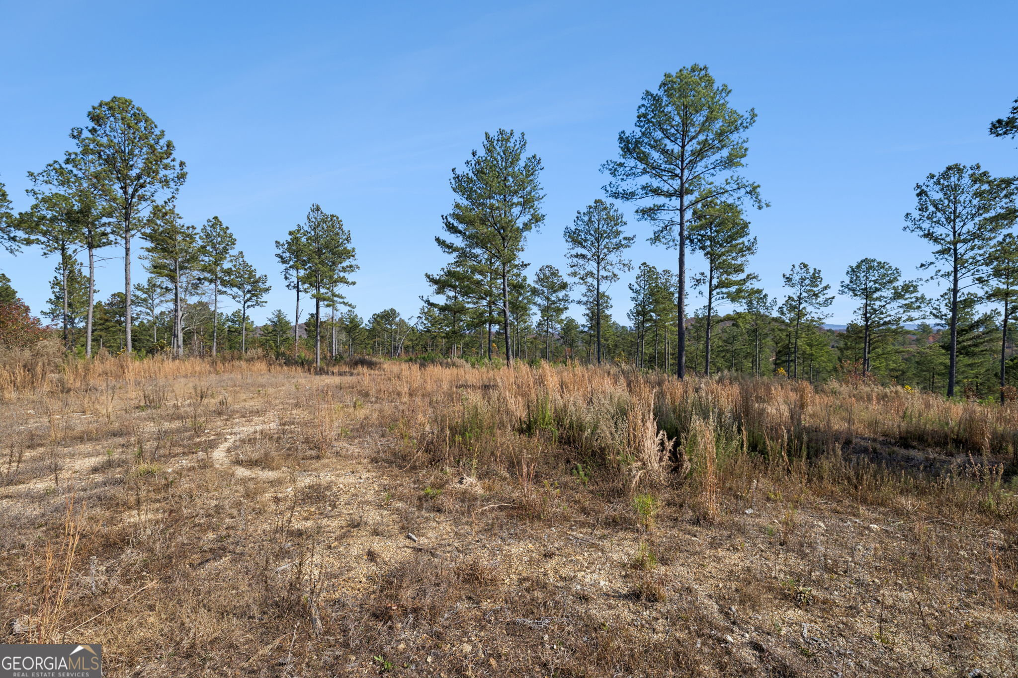 0 Sand Pit Road Property Photo 9