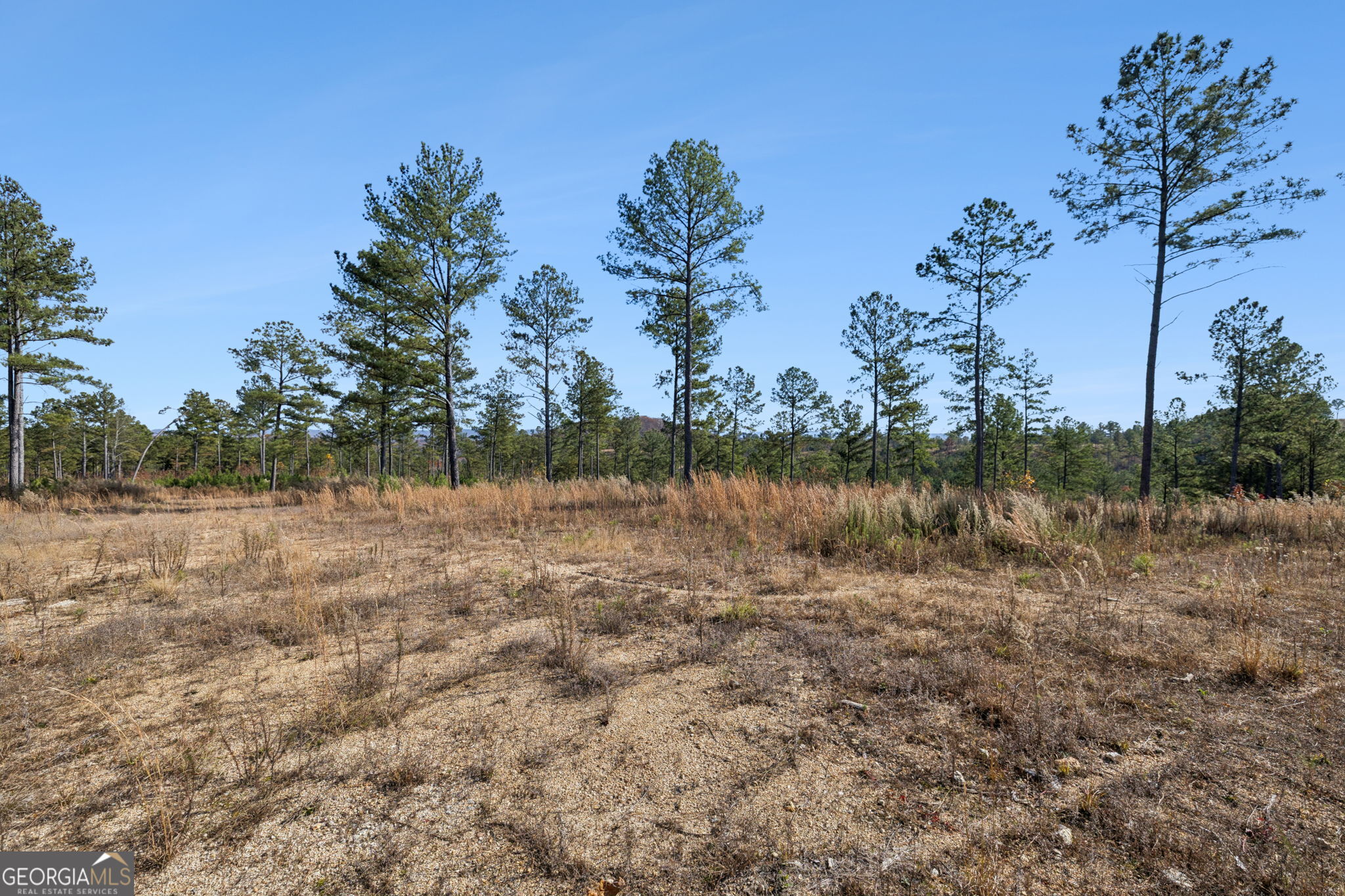 0 Sand Pit Road Property Photo 11