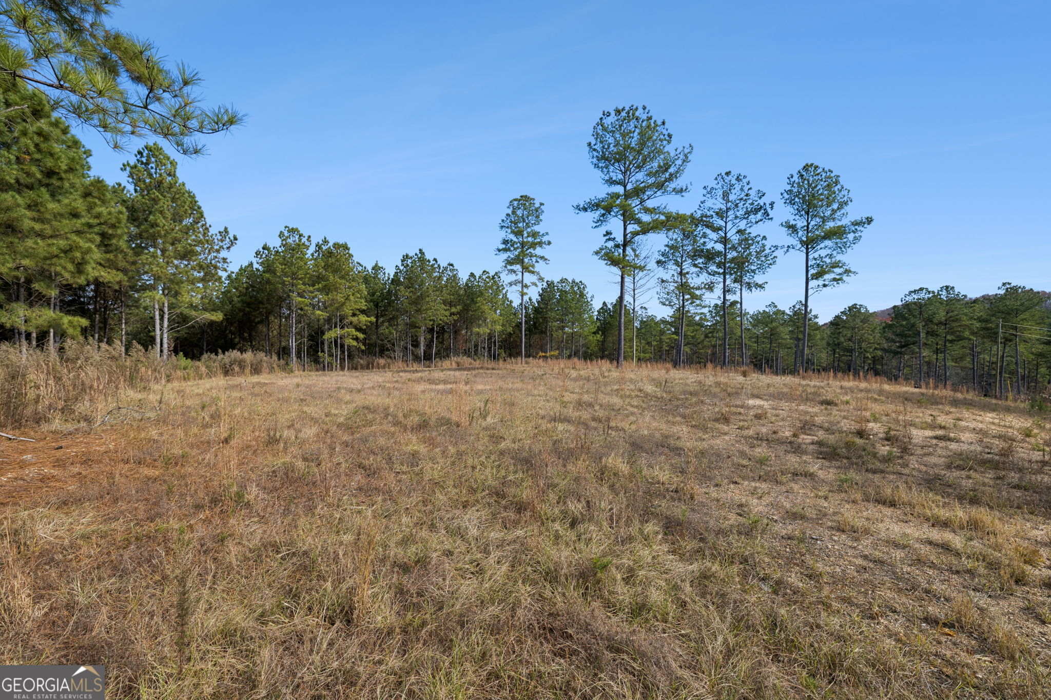 0 Sand Pit Road Property Photo 12