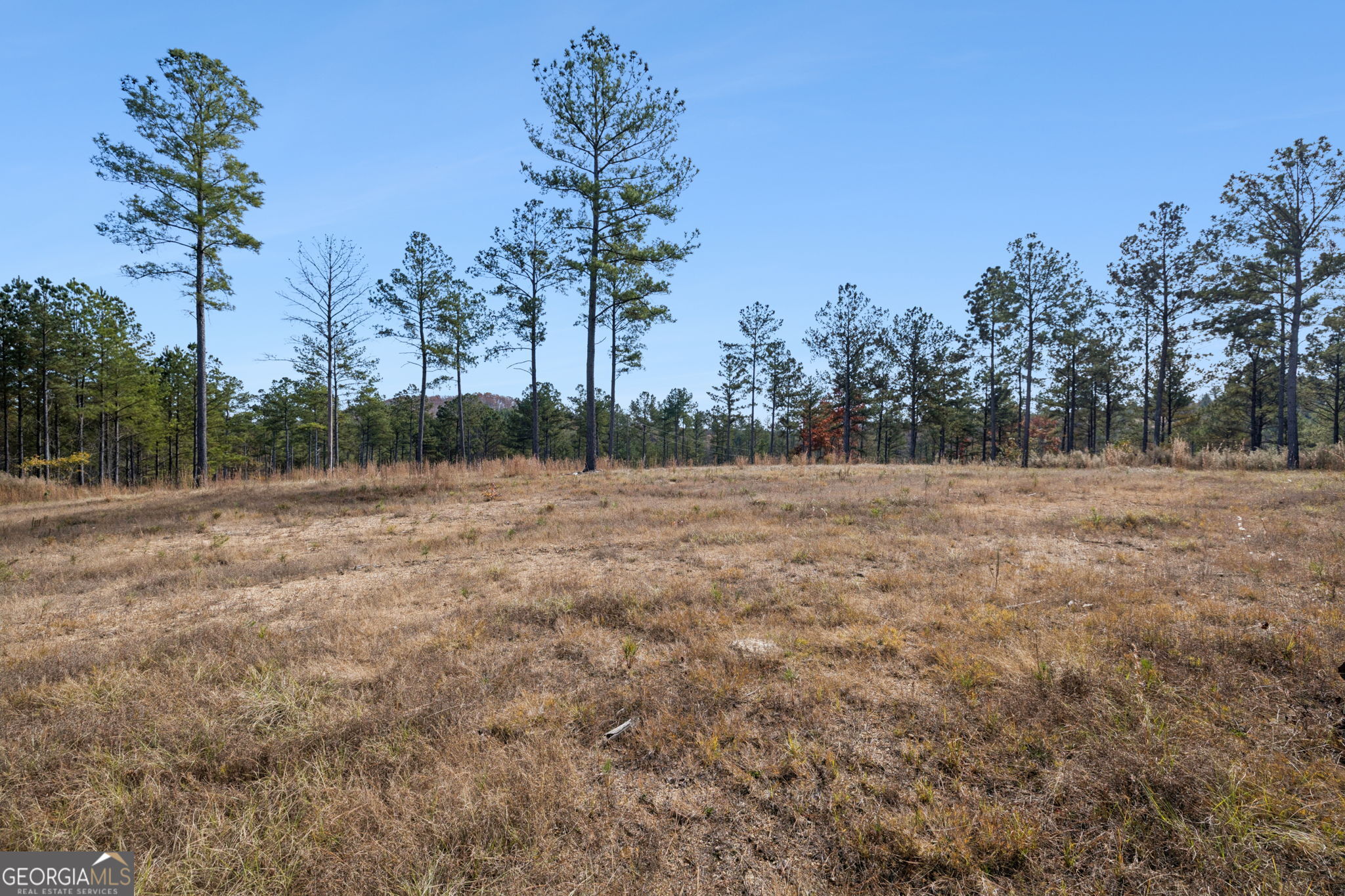 0 Sand Pit Road Property Photo 13