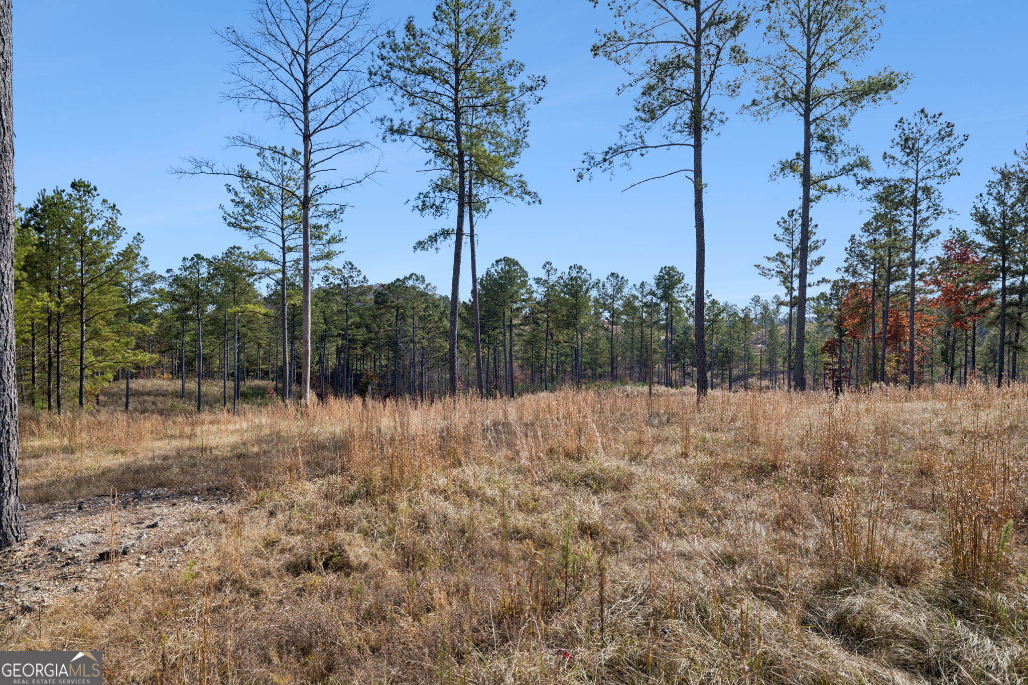 0 Sand Pit Road Property Photo 14
