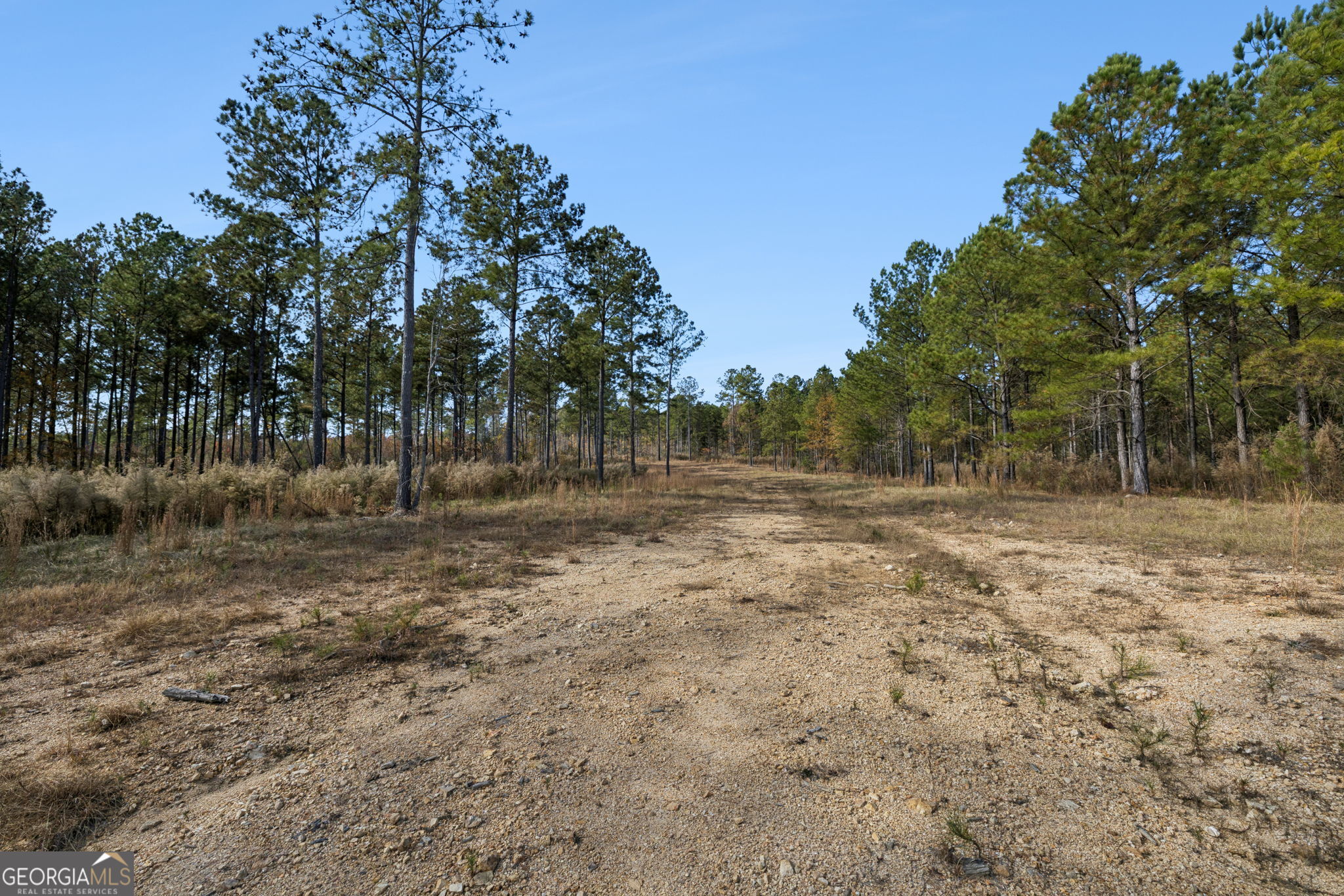 0 Sand Pit Road Property Photo 16