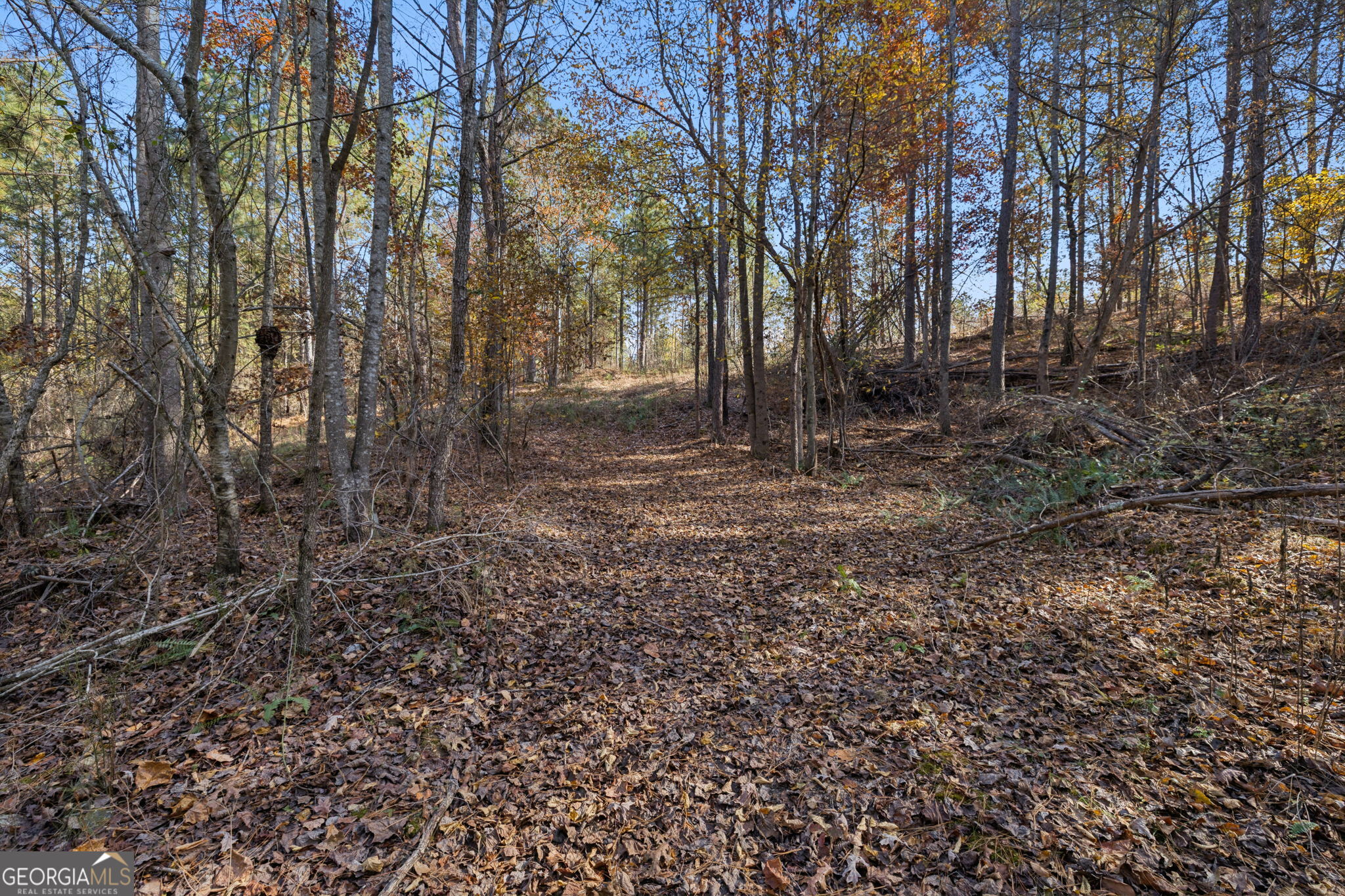 0 Sand Pit Road Property Photo 17