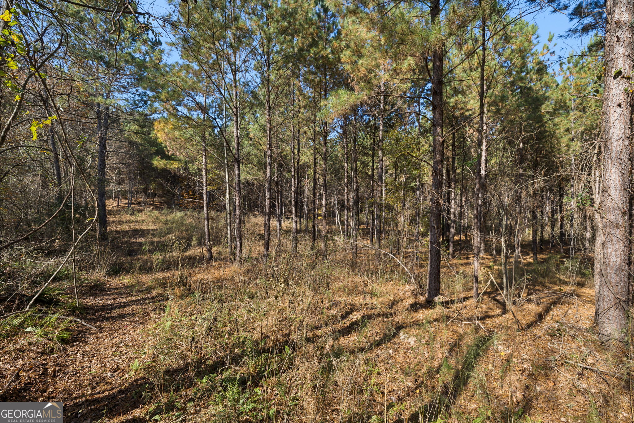 0 Sand Pit Road Property Photo 18
