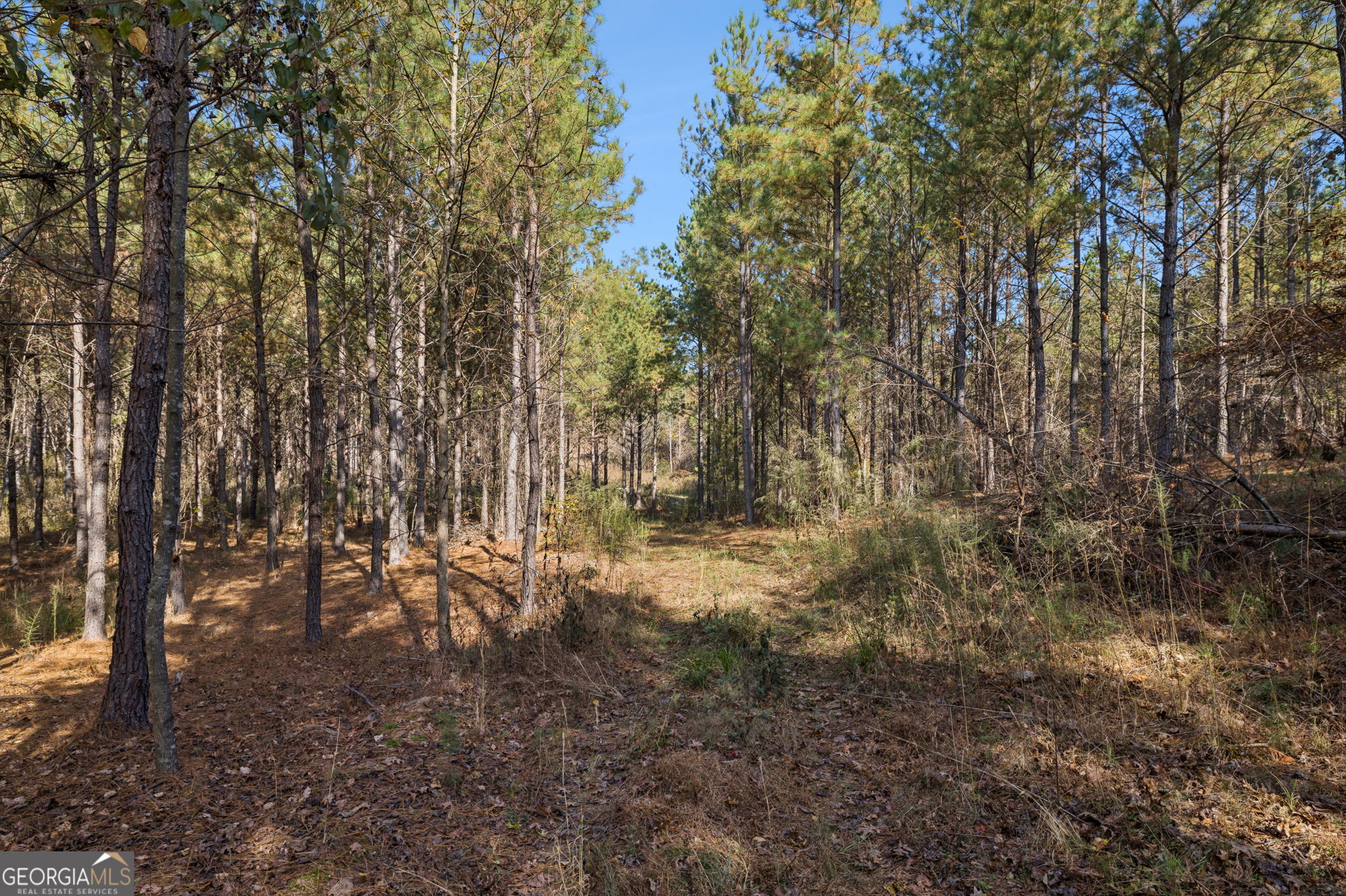 0 Sand Pit Road Property Photo 19