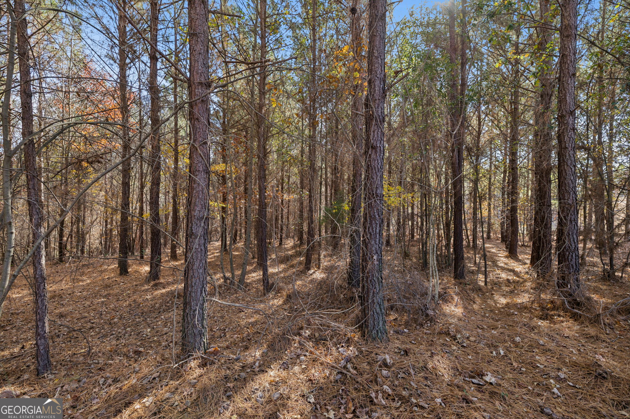 0 Sand Pit Road Property Photo 23