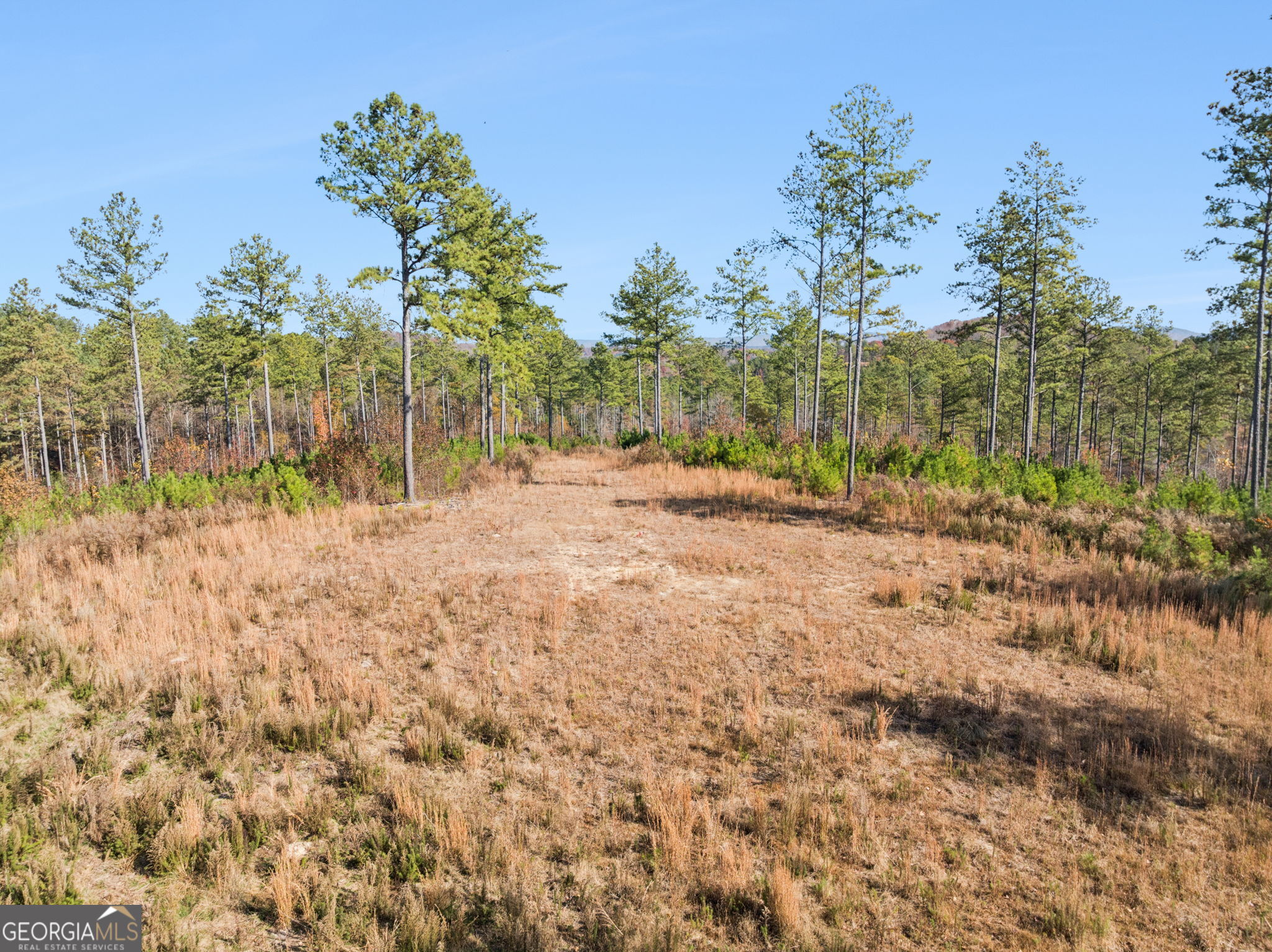 0 Sand Pit Road Property Photo 32