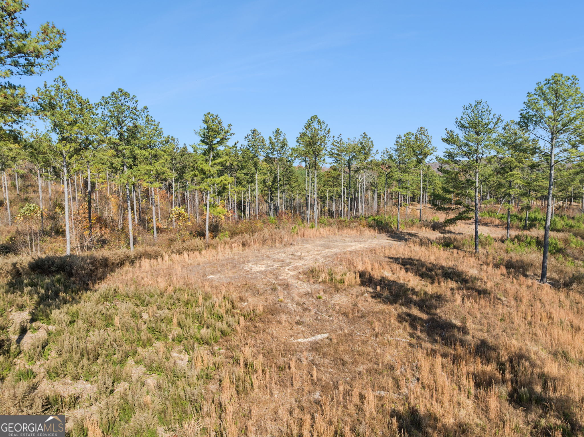 0 Sand Pit Road Property Photo 37