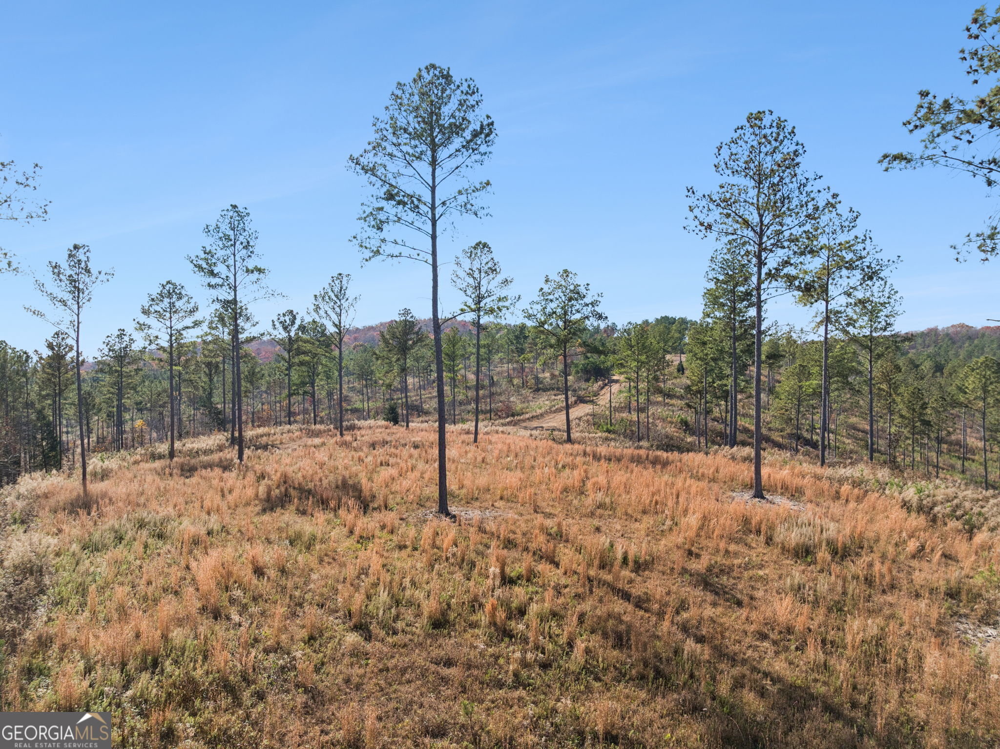 0 Sand Pit Road Property Photo 39