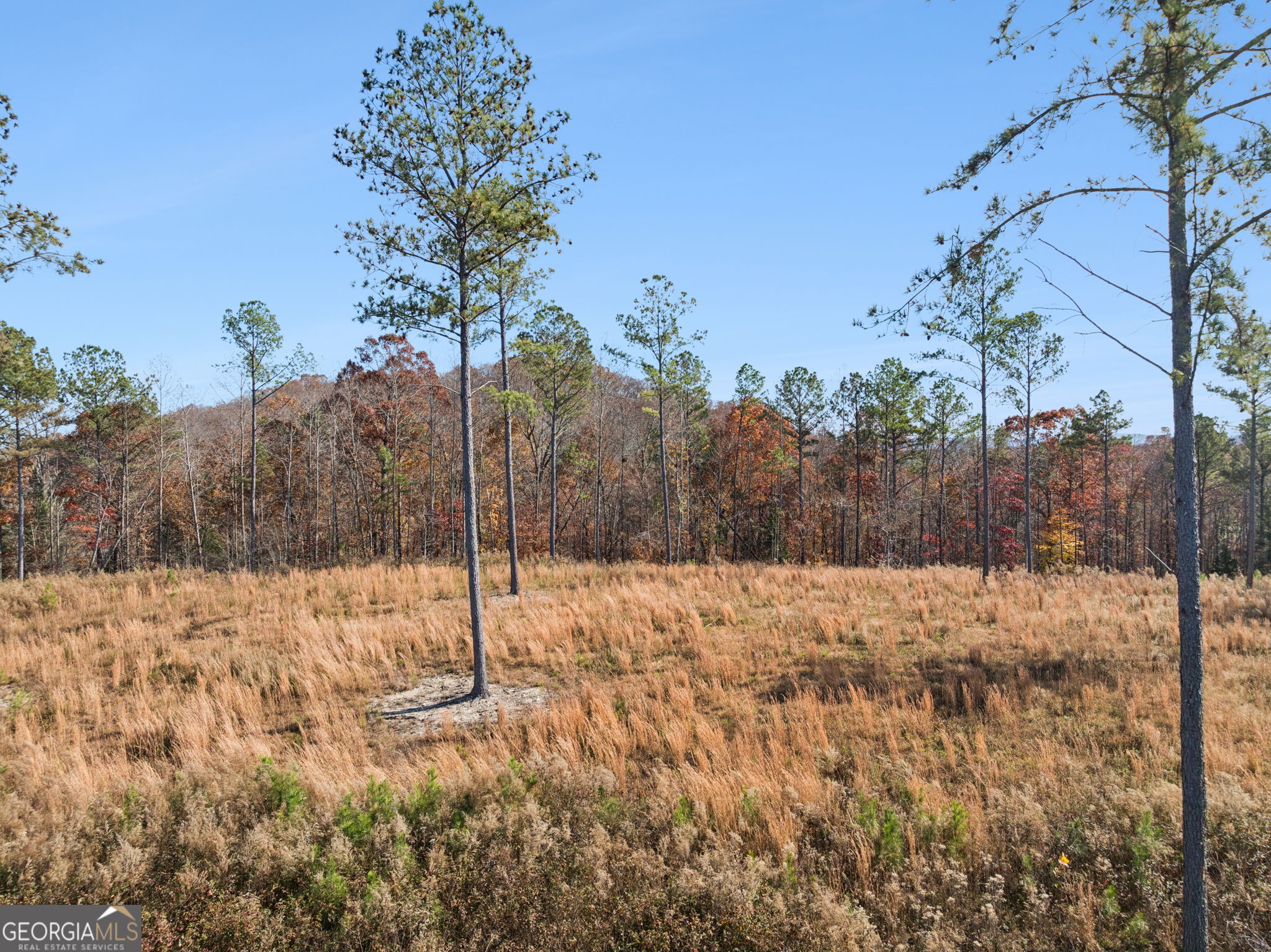 0 Sand Pit Road Property Photo 40