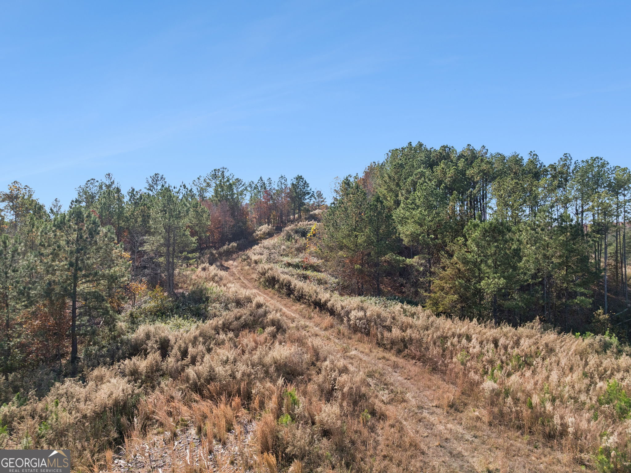 0 Sand Pit Road Property Photo 41