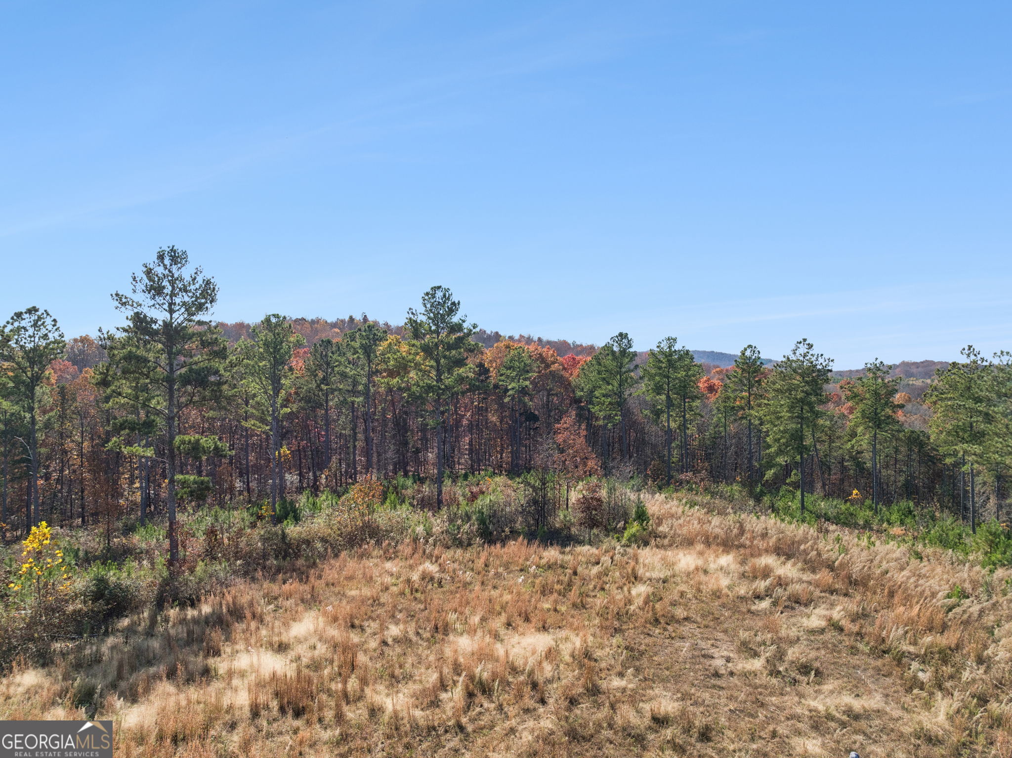 0 Sand Pit Road Property Photo 43