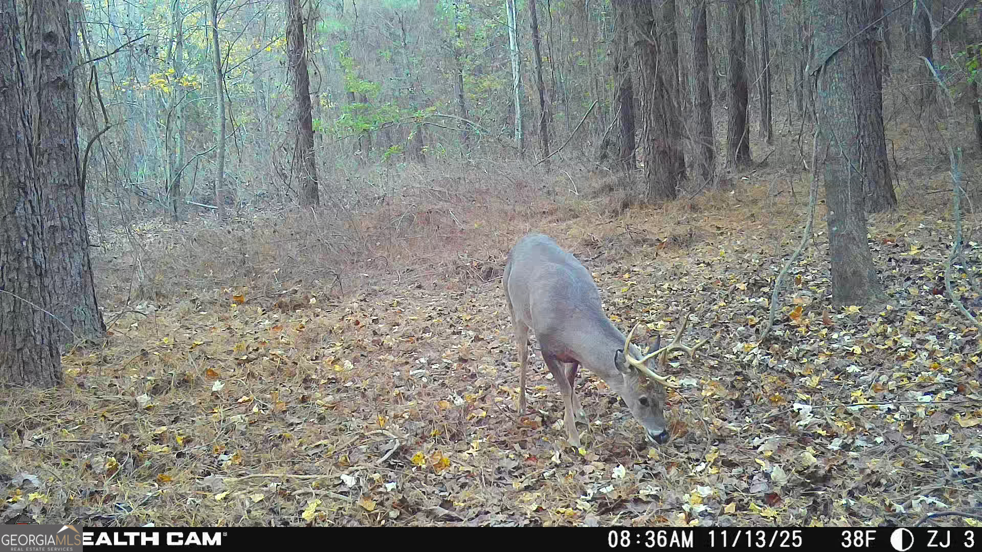 0 Sand Pit Road Property Photo 51