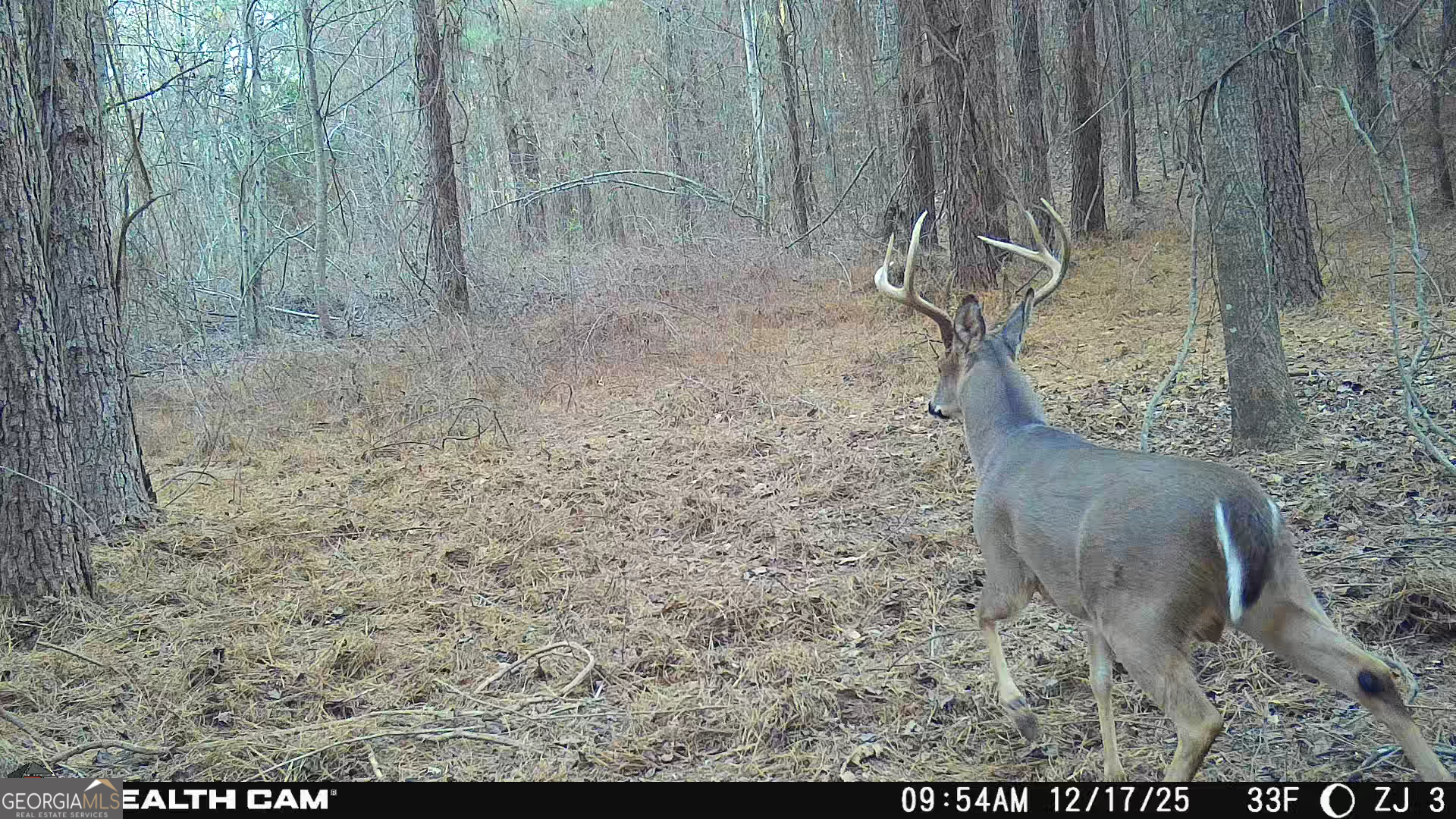 0 Sand Pit Road Property Photo 52