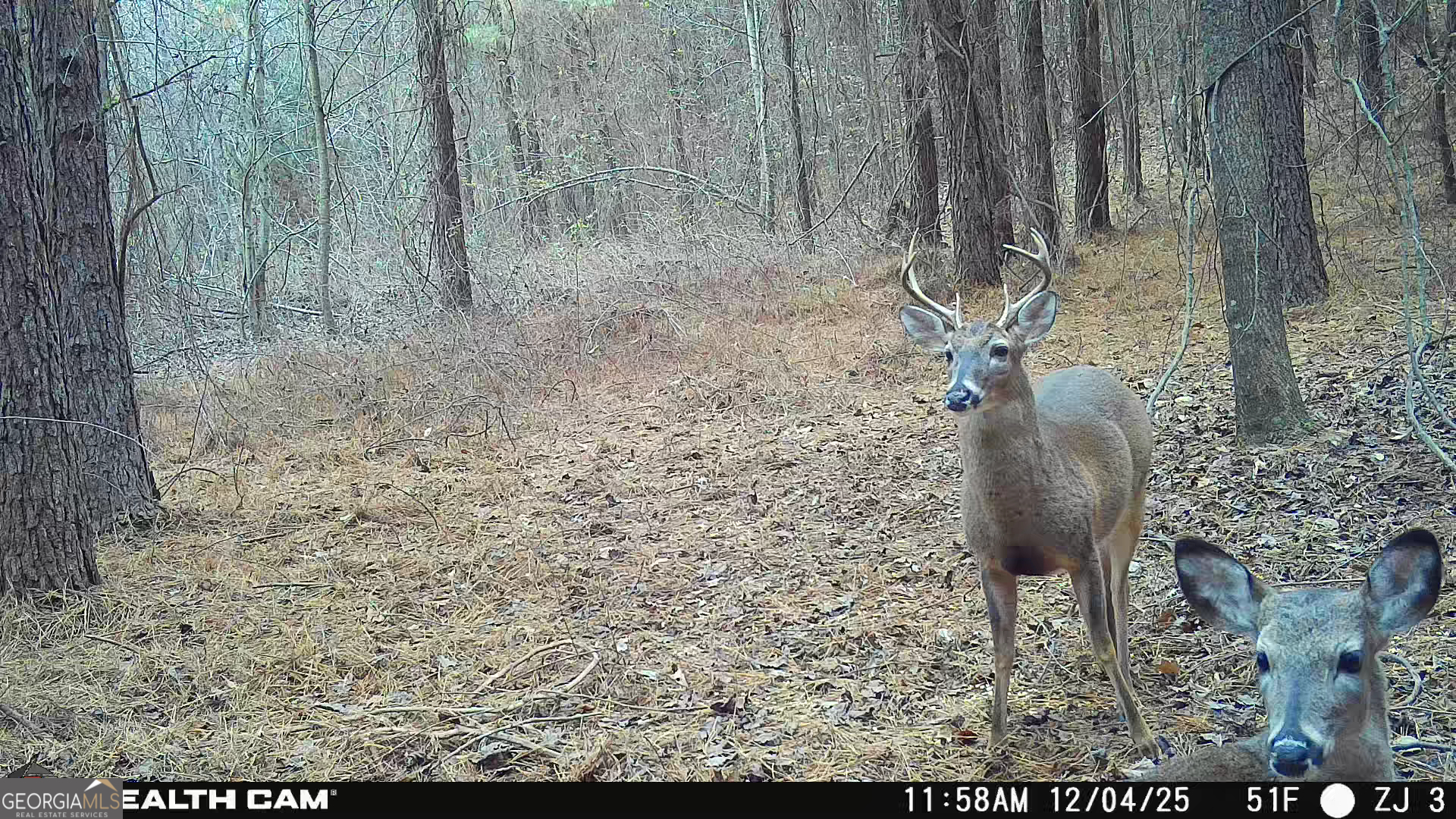 0 Sand Pit Road Property Photo 53