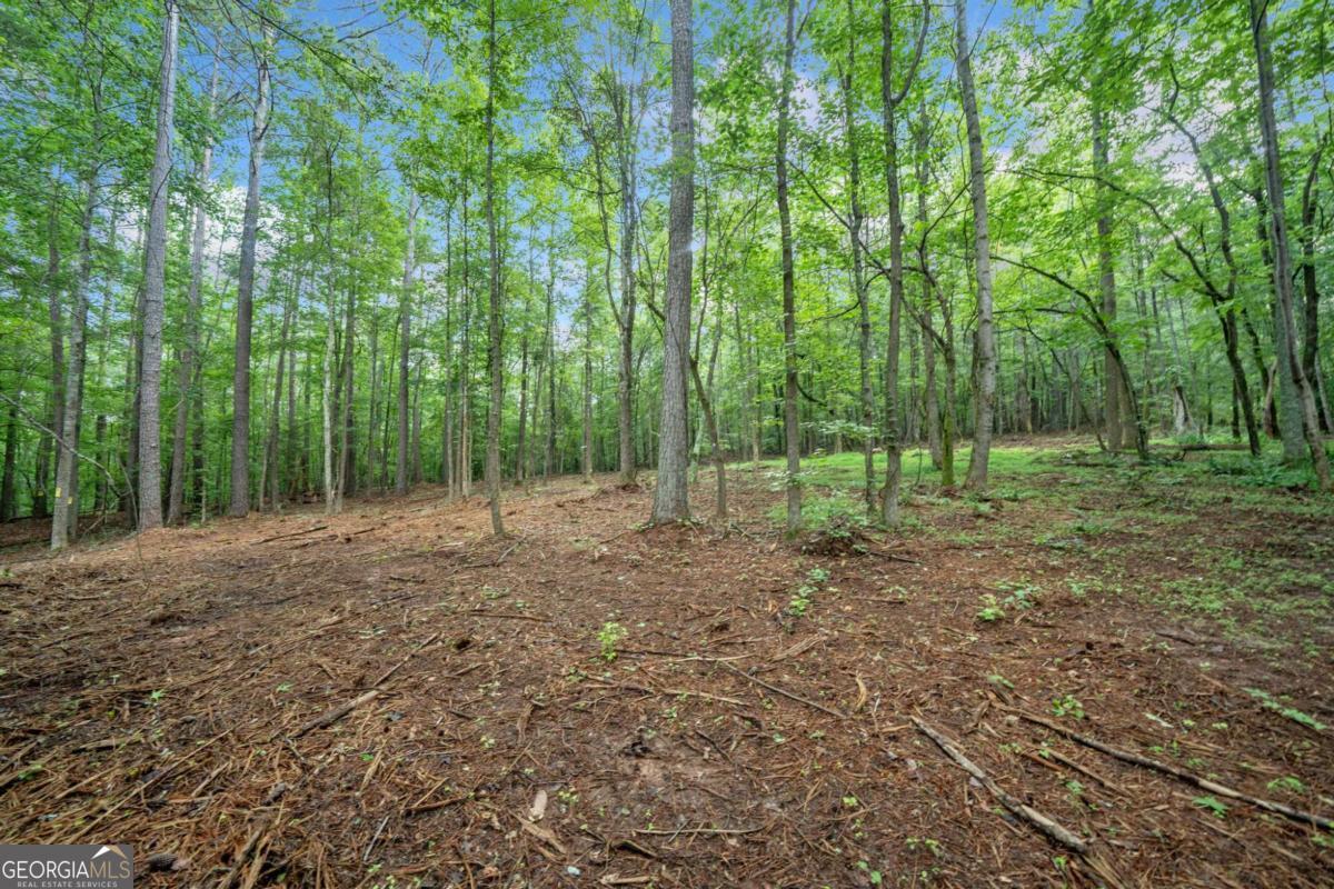 0 Brock Trail # 5 Property Photo 6