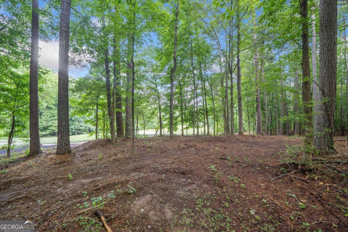 0 Brock Trail # 5 Property Photo 9