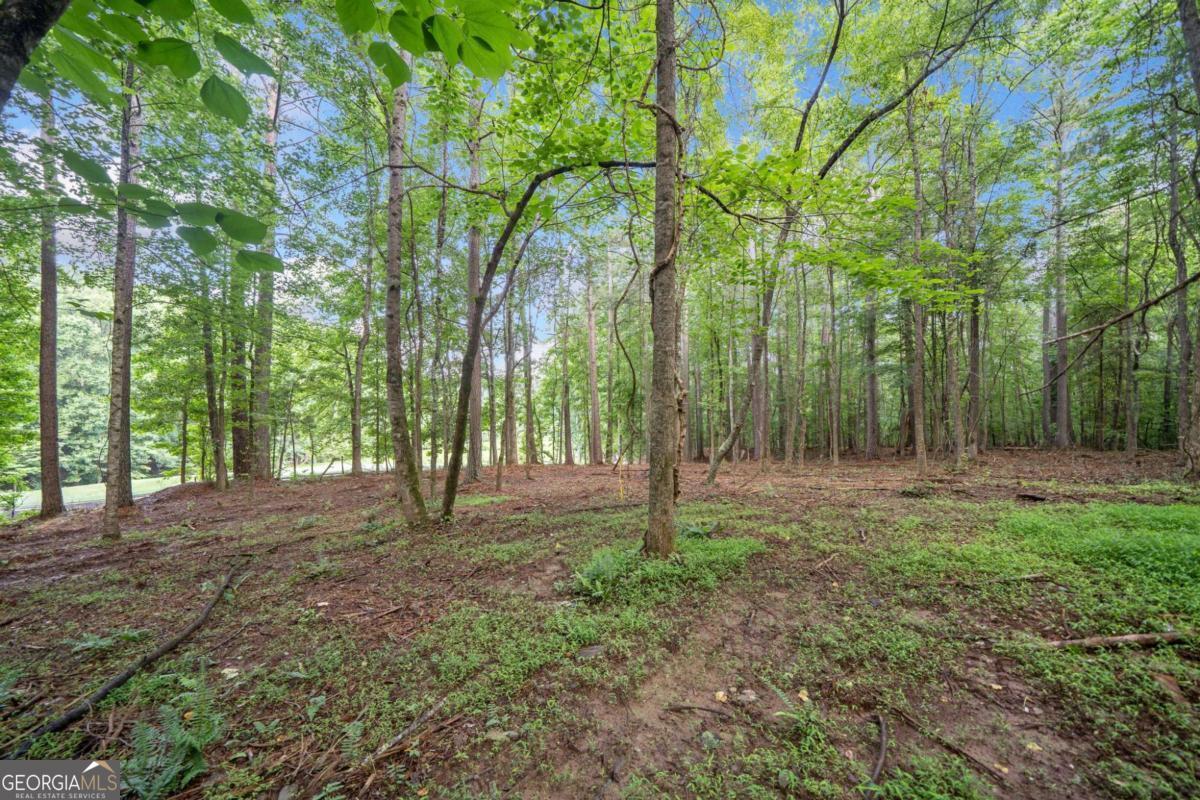 0 Brock Trail # 5 Property Photo 10