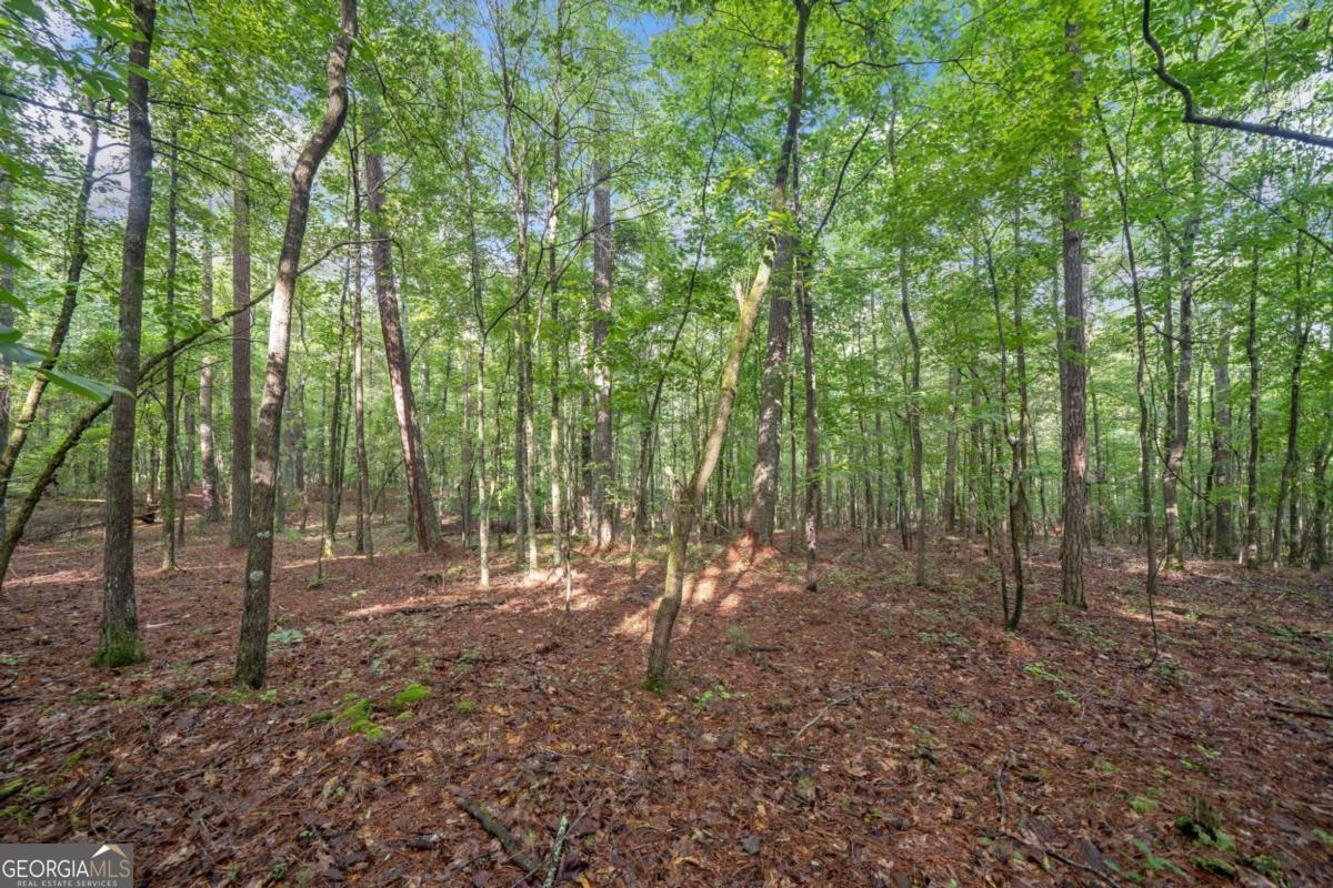 0 Brock Trail # 5 Property Photo 15