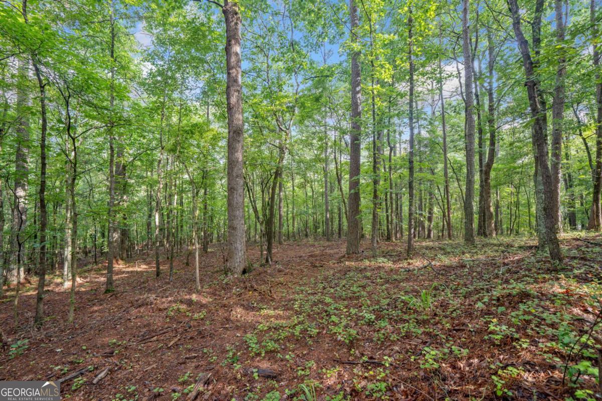 0 Brock Trail # 5 Property Photo 19