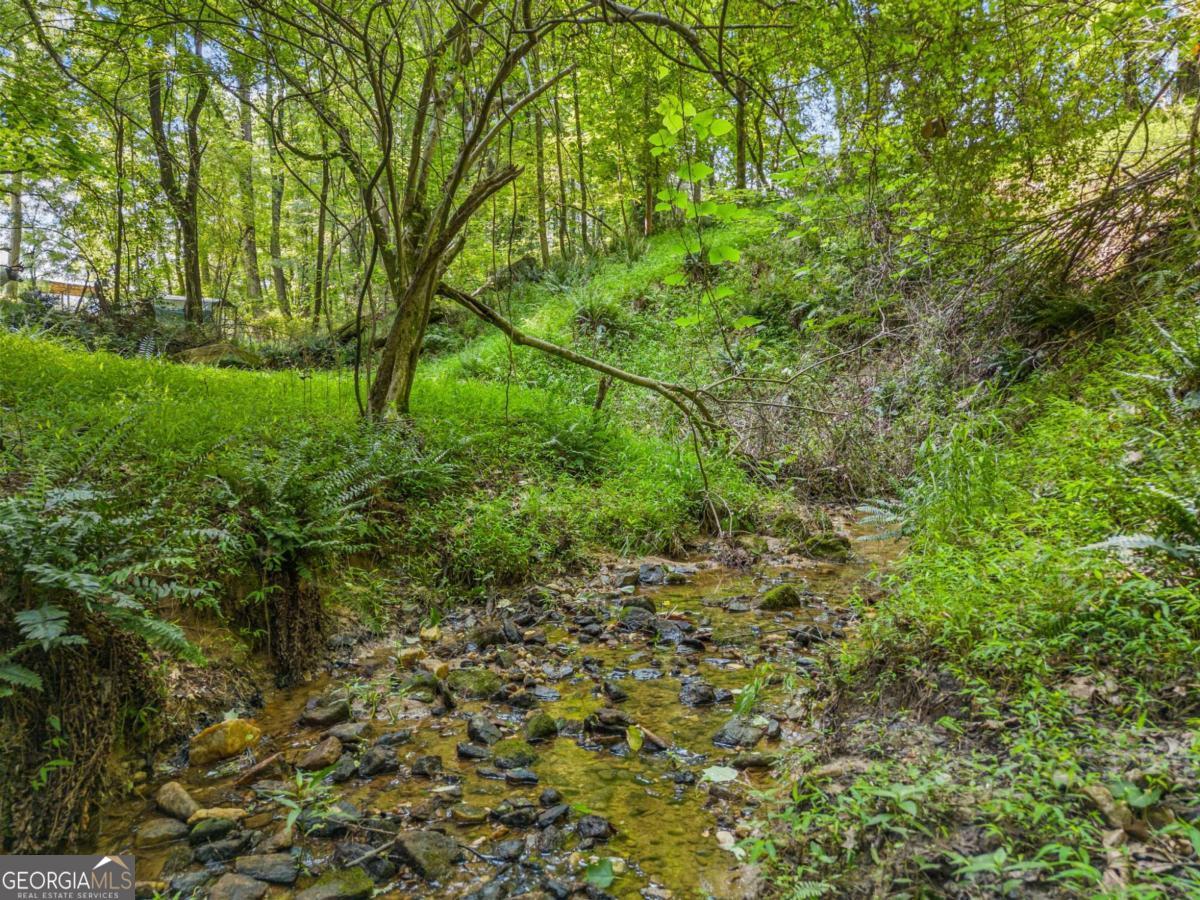 0 Brock Trail # 5 Property Photo 21