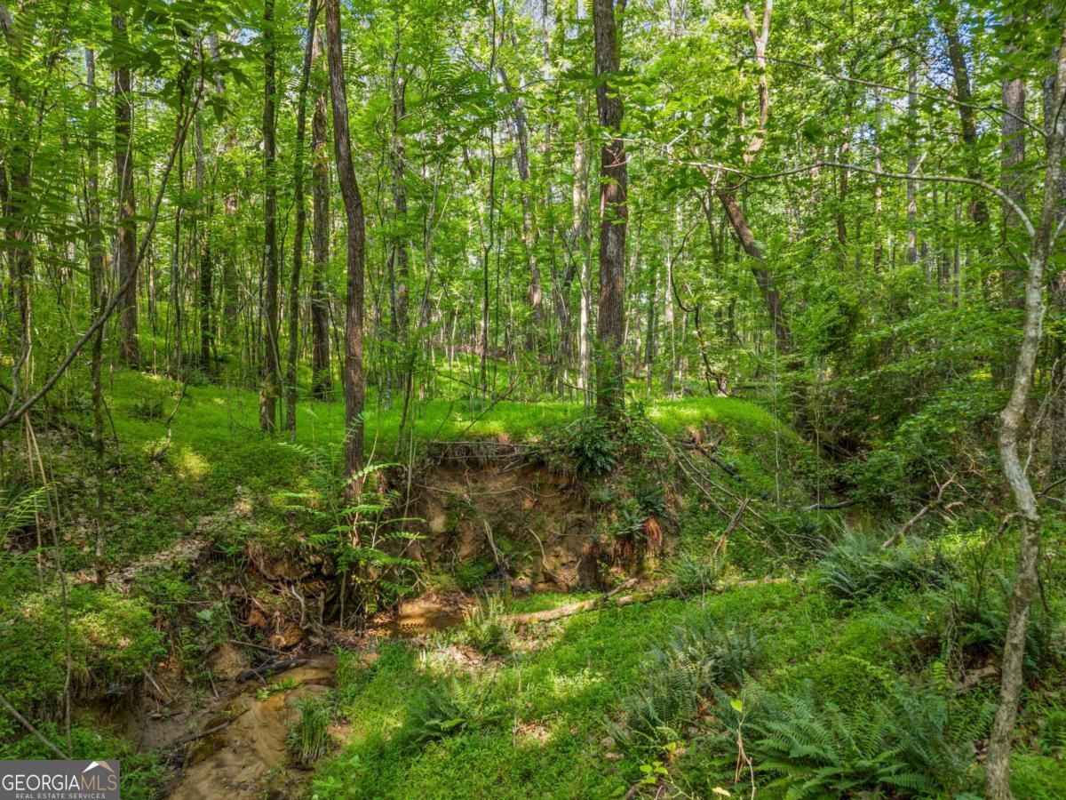 0 Brock Trail # 5 Property Photo 22