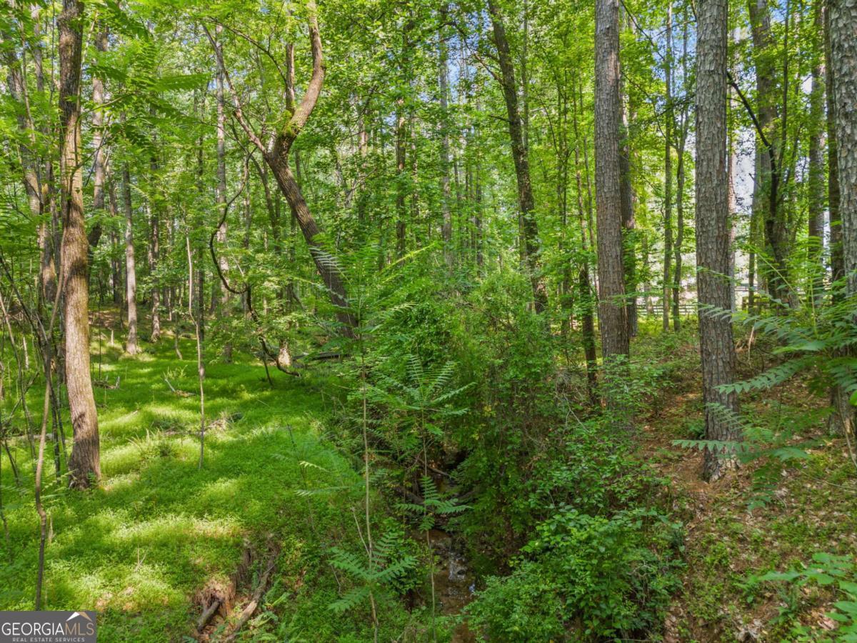 0 Brock Trail # 5 Property Photo 23