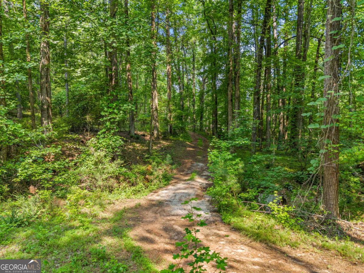 0 Brock Trail # 5 Property Photo 25