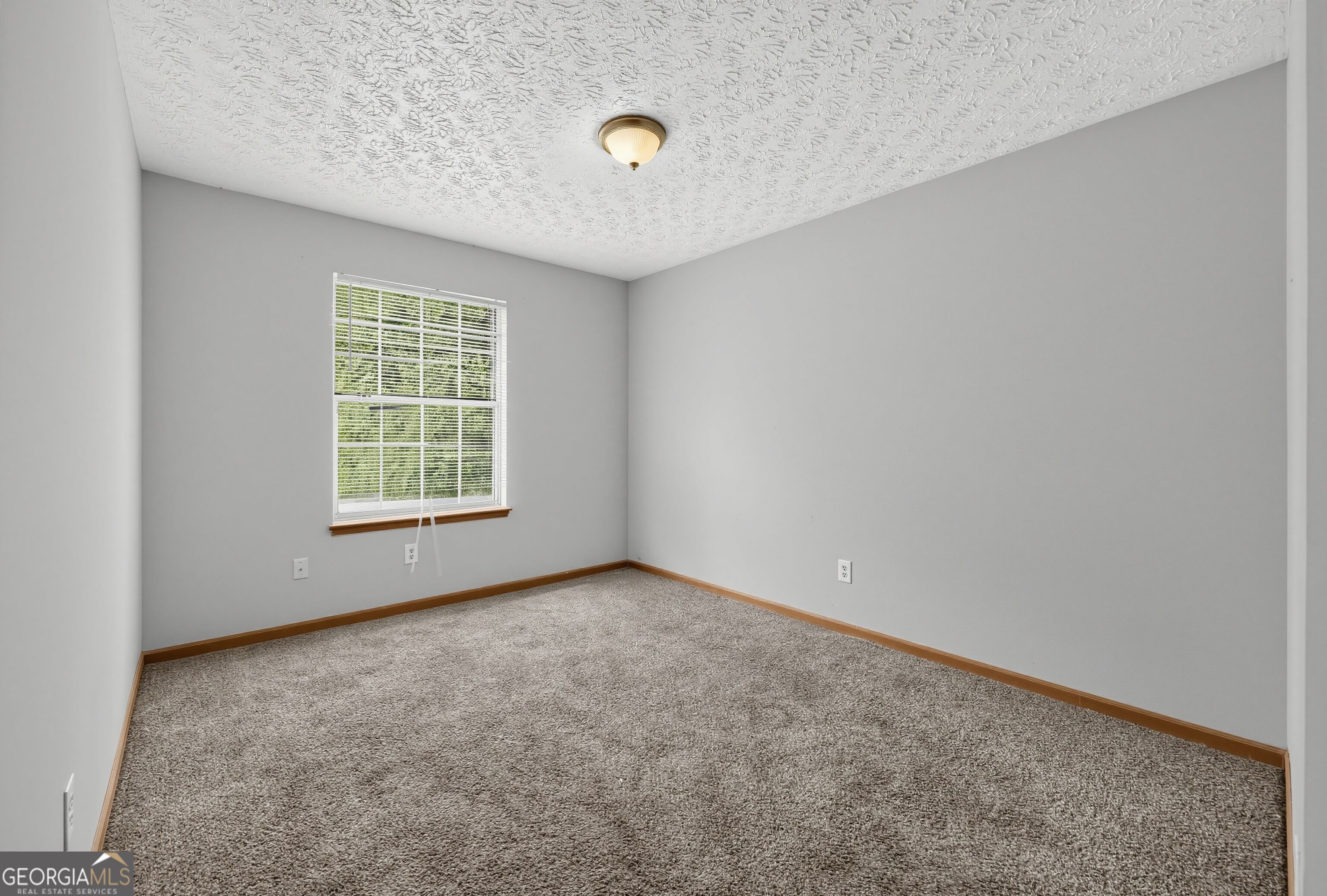 10248 Briarbay Loop Property Photo 22