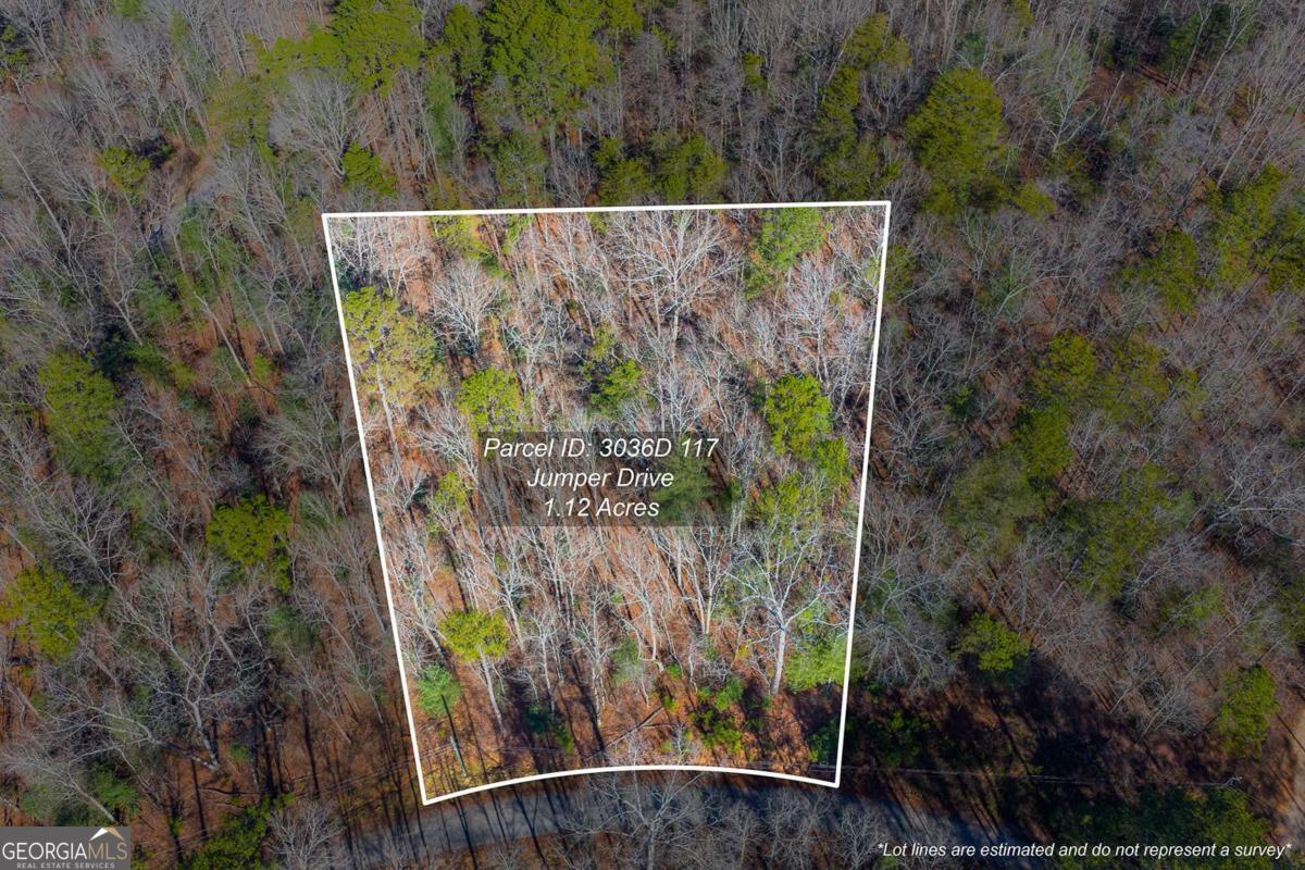 Lot 117 Jumper Drive Property Photo 1