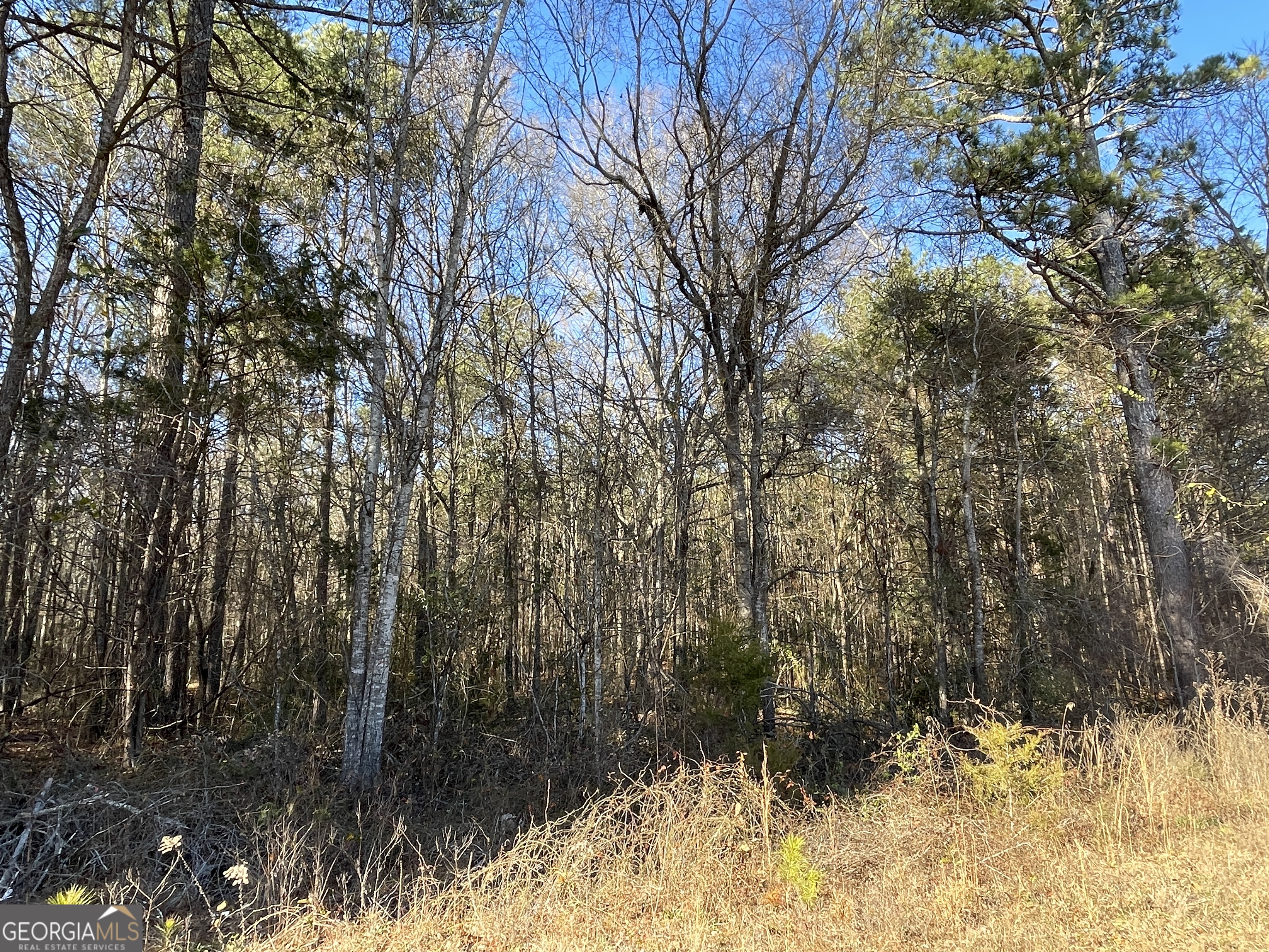 0 S Highway 81 Property Photo 8