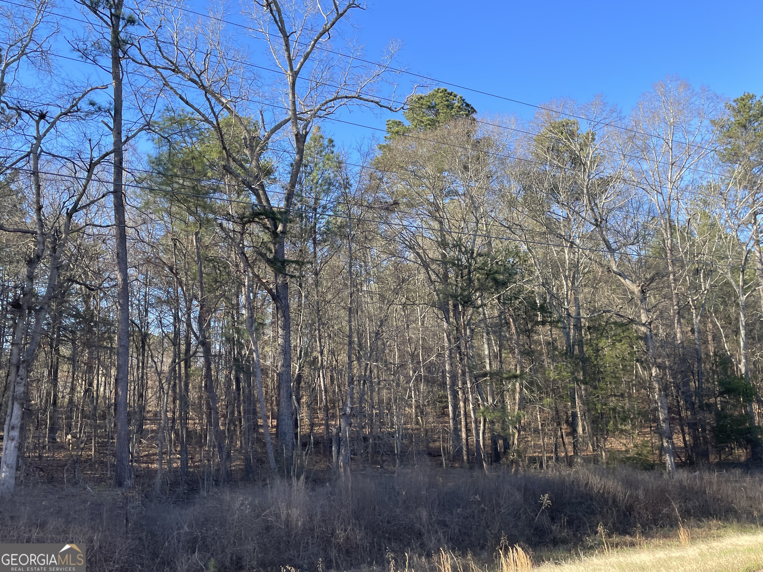 0 S Highway 81 Property Photo 12
