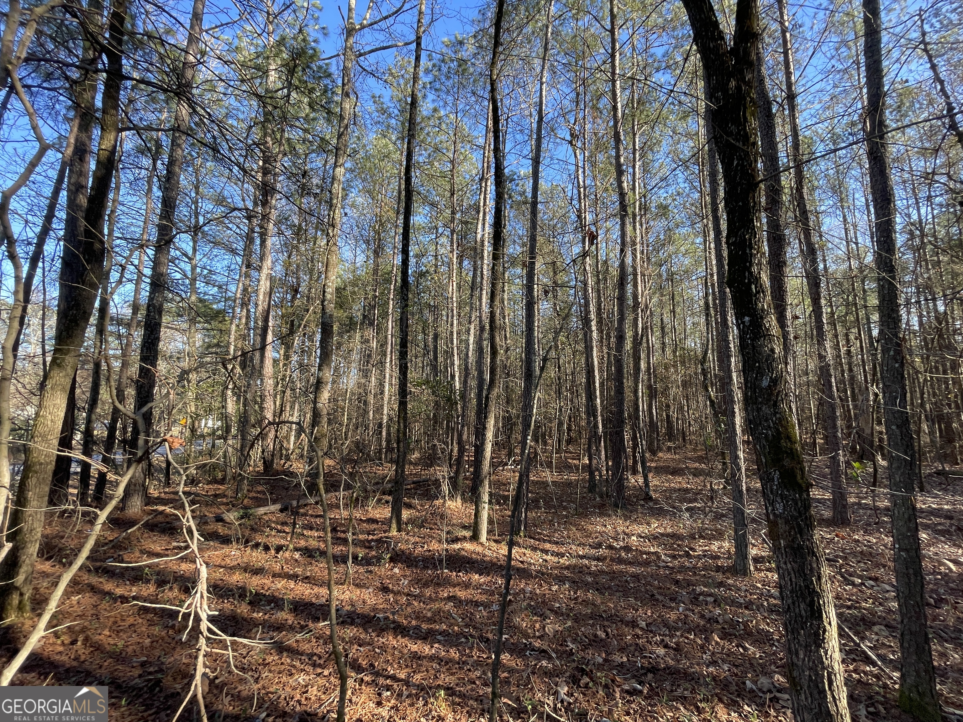 0 S Highway 81 Property Photo 16