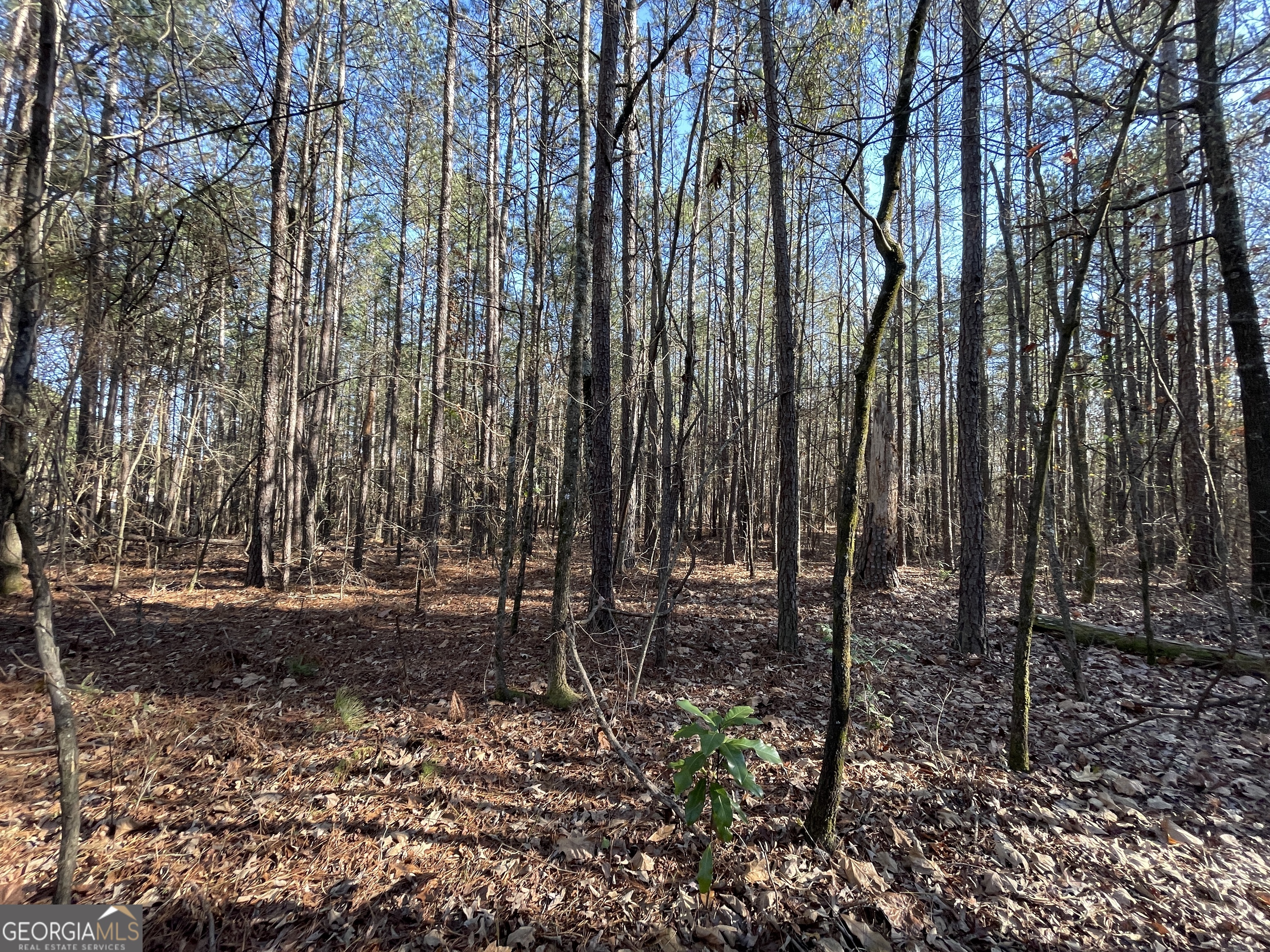 0 S Highway 81 Property Photo 17