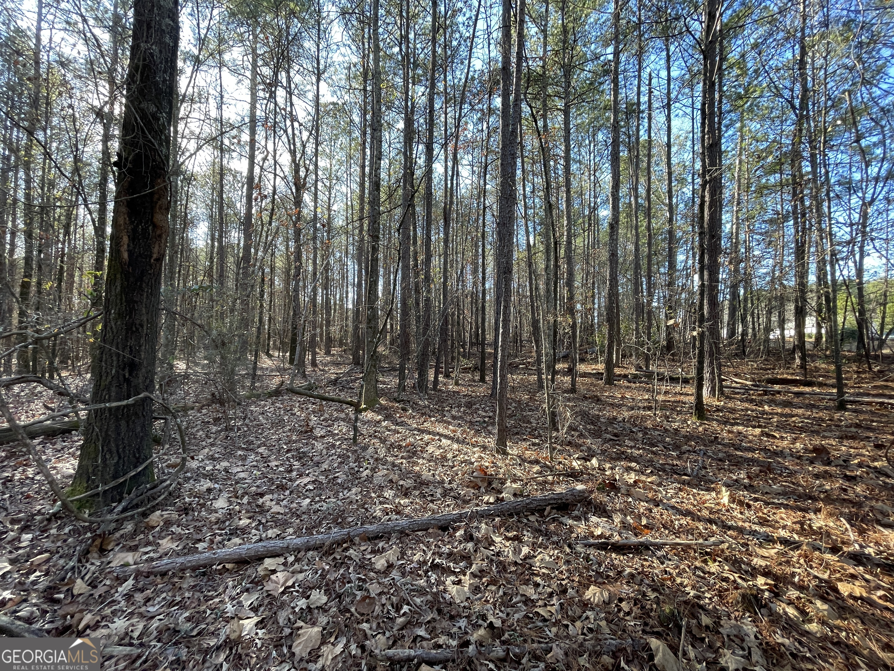 0 S Highway 81 Property Photo 18