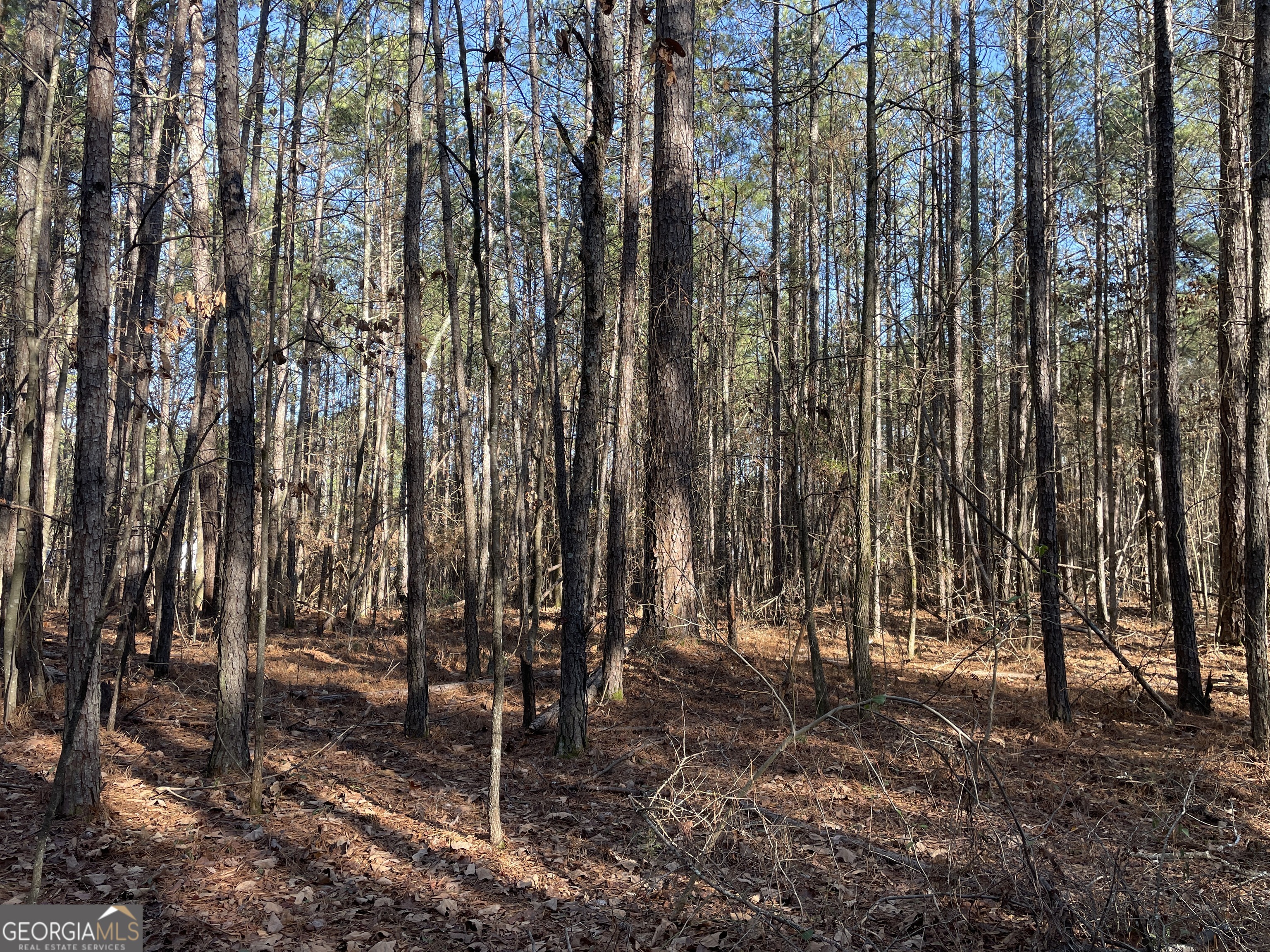 0 S Highway 81 Property Photo 19