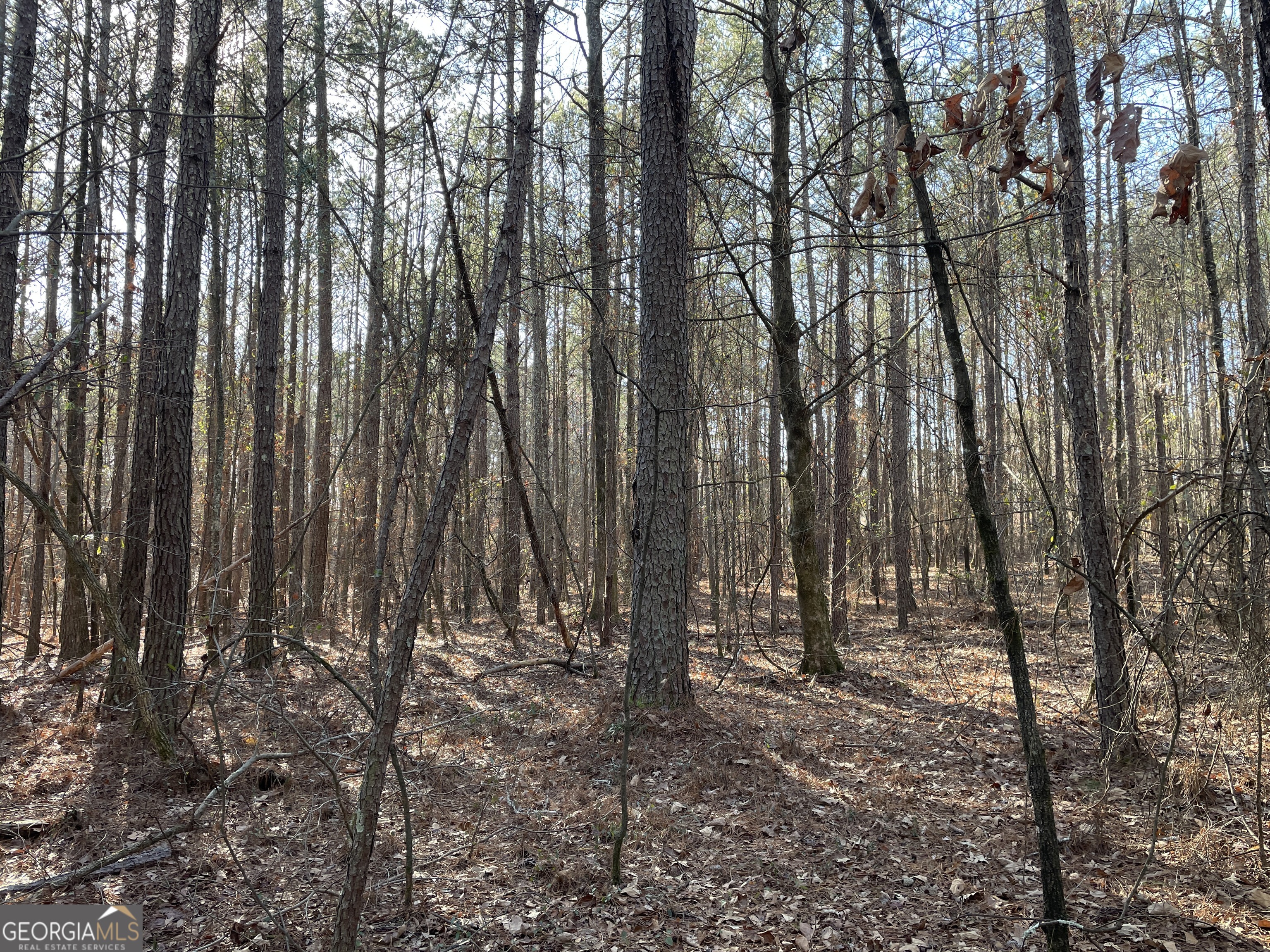 0 S Highway 81 Property Photo 20