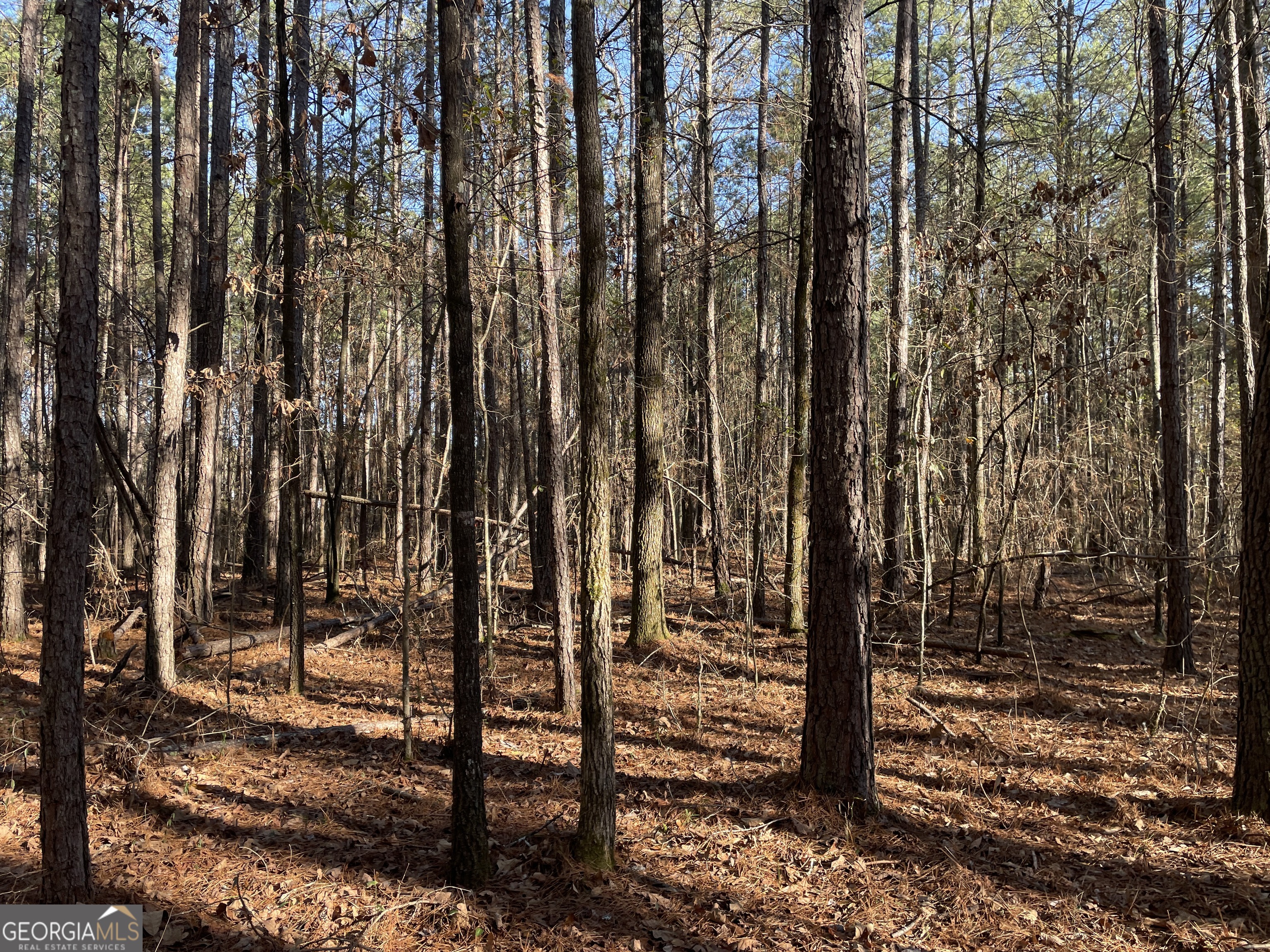 0 S Highway 81 Property Photo 21