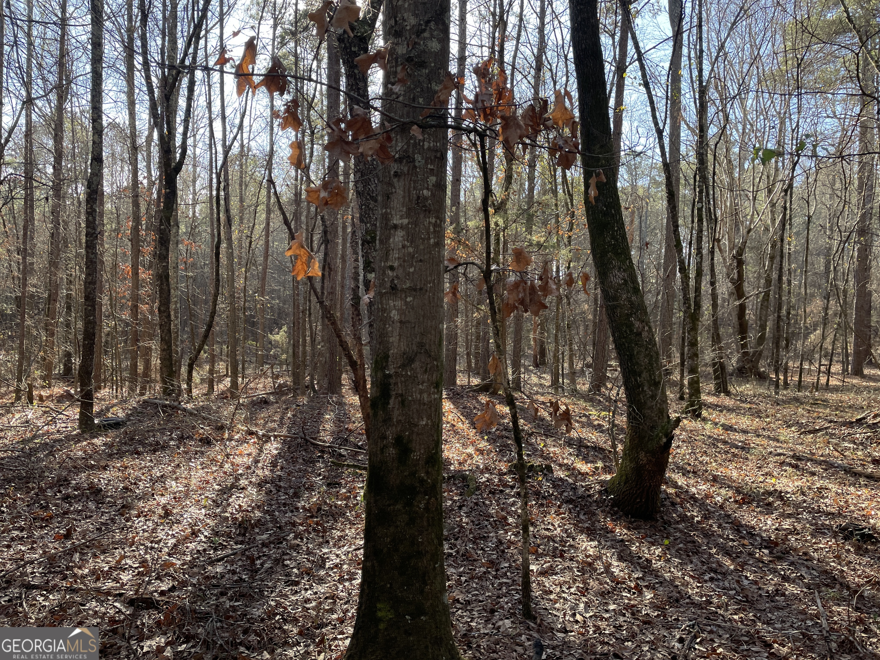 0 S Highway 81 Property Photo 22